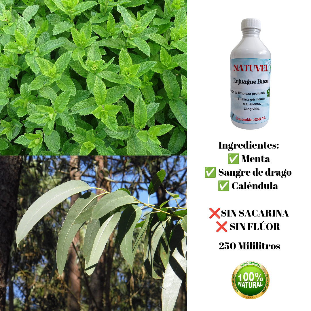 Enjuague Bucal Natural (Natuvel) Sabor Menta 250ml