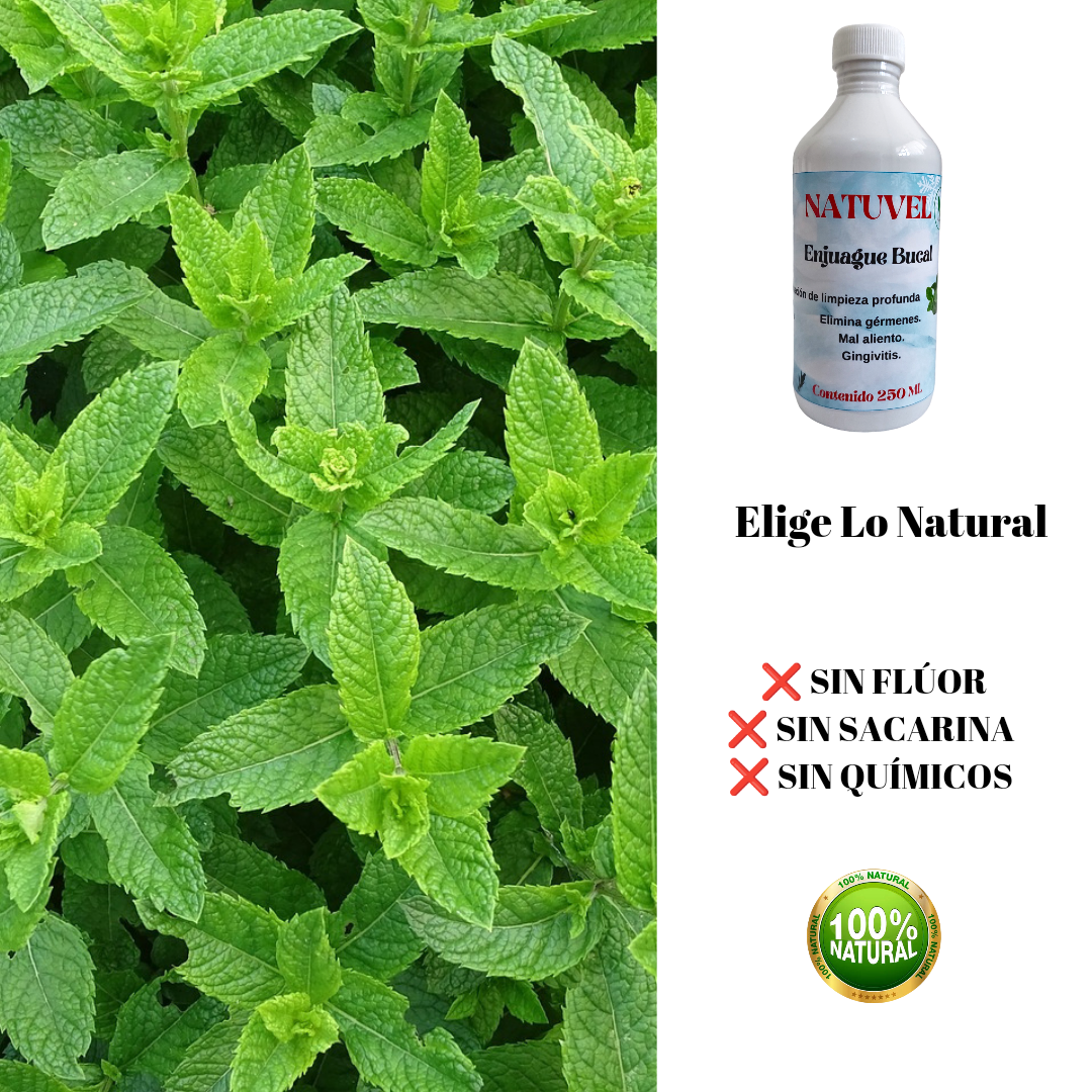 Enjuague Bucal Natural (Natuvel) Sabor Menta 250ml