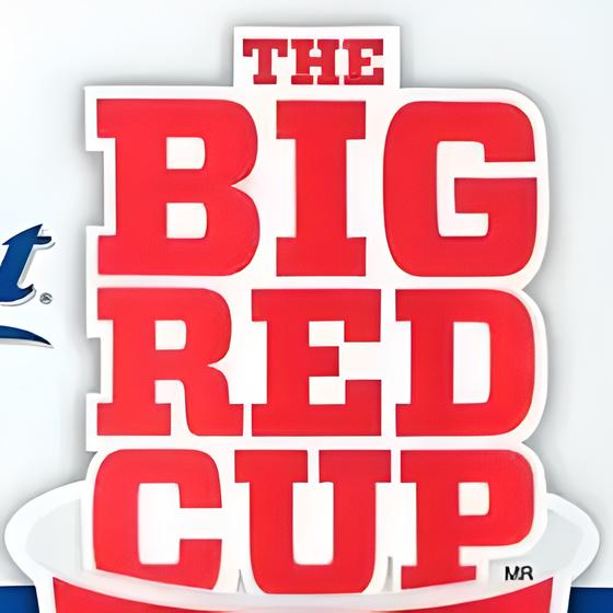 Vasos Rojos de Plástico Extra Resistentes 240 pzas de 532 ml