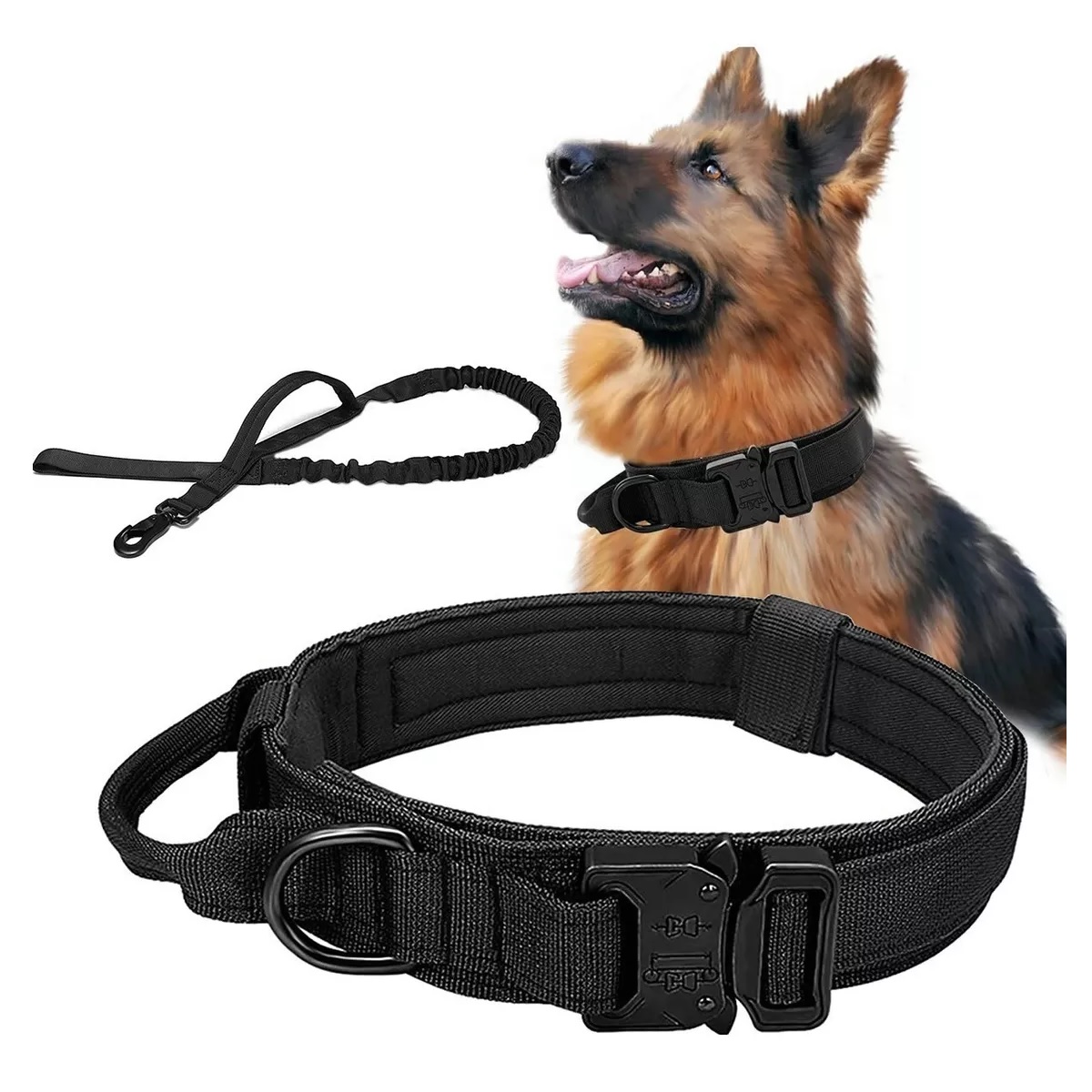 Collar Táctico De Perro Hebilla Metálica Ajustable+correa Balck M