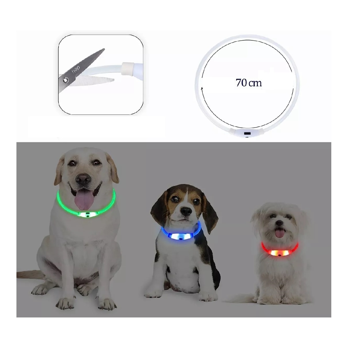 Collar Para Perros Luz Led Recargable Luminoso Mascota