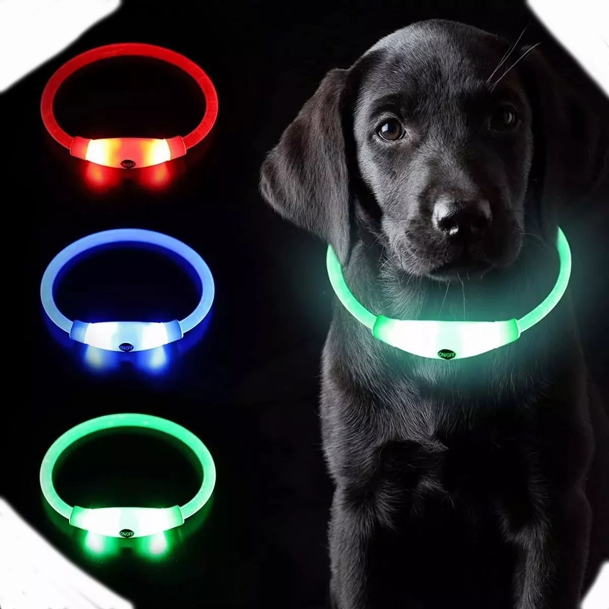 Collar Para Perros Luz Led Recargable Luminoso Mascota