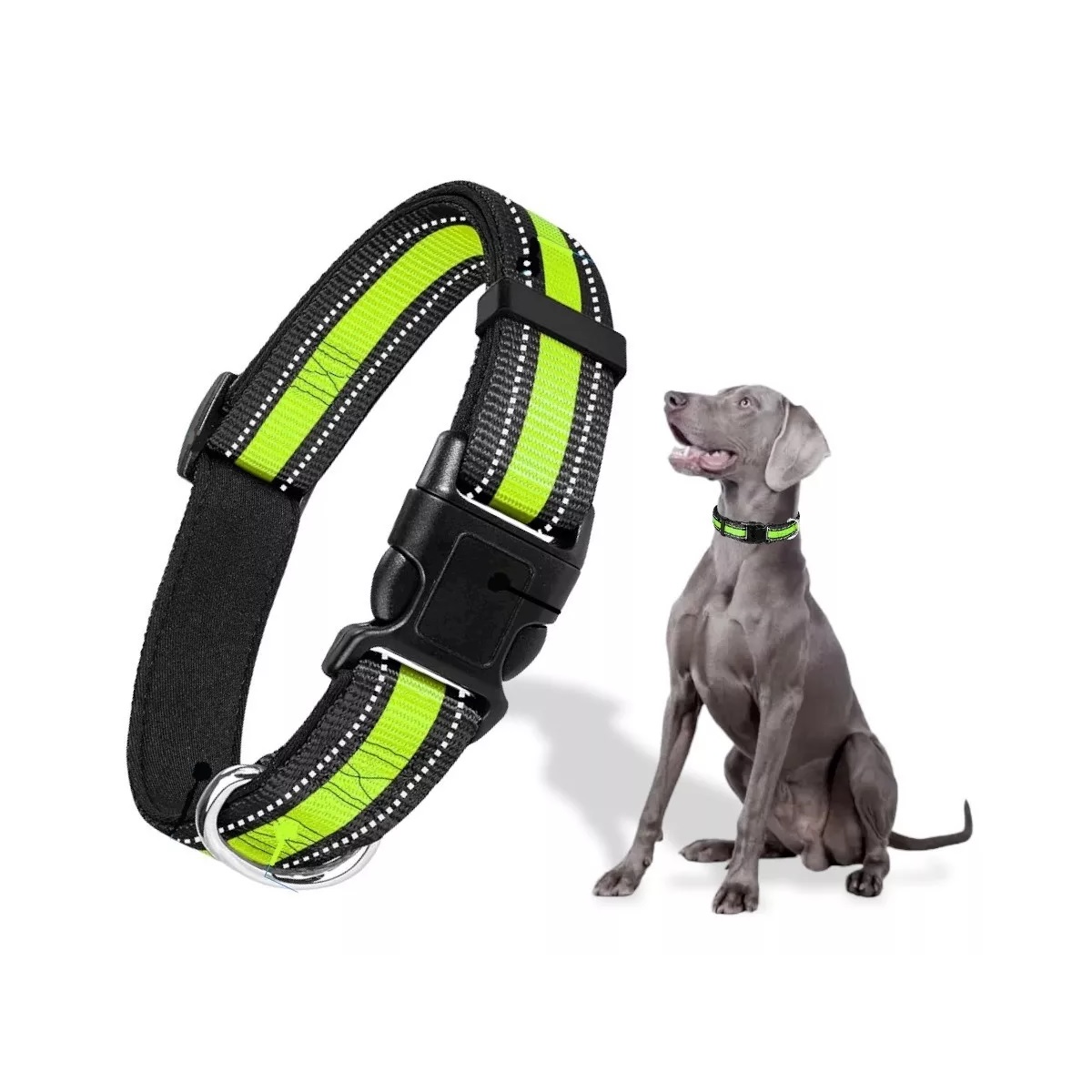 Collar Reflejante Para Perros Con Broche Seguridad Ajustable Grande