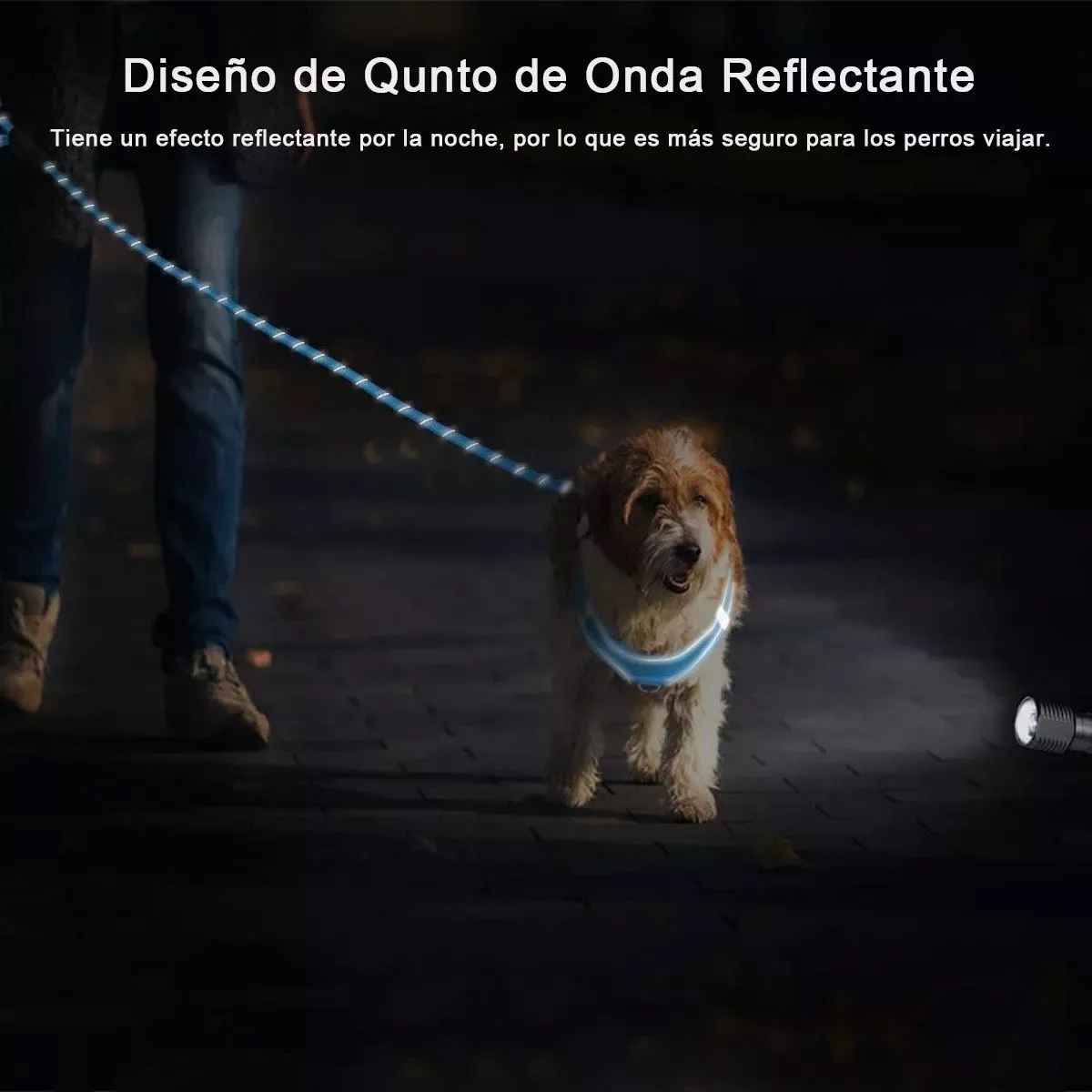 Correa Para Perro Grande Resistente Fuerte 2pcs Negro/Azul