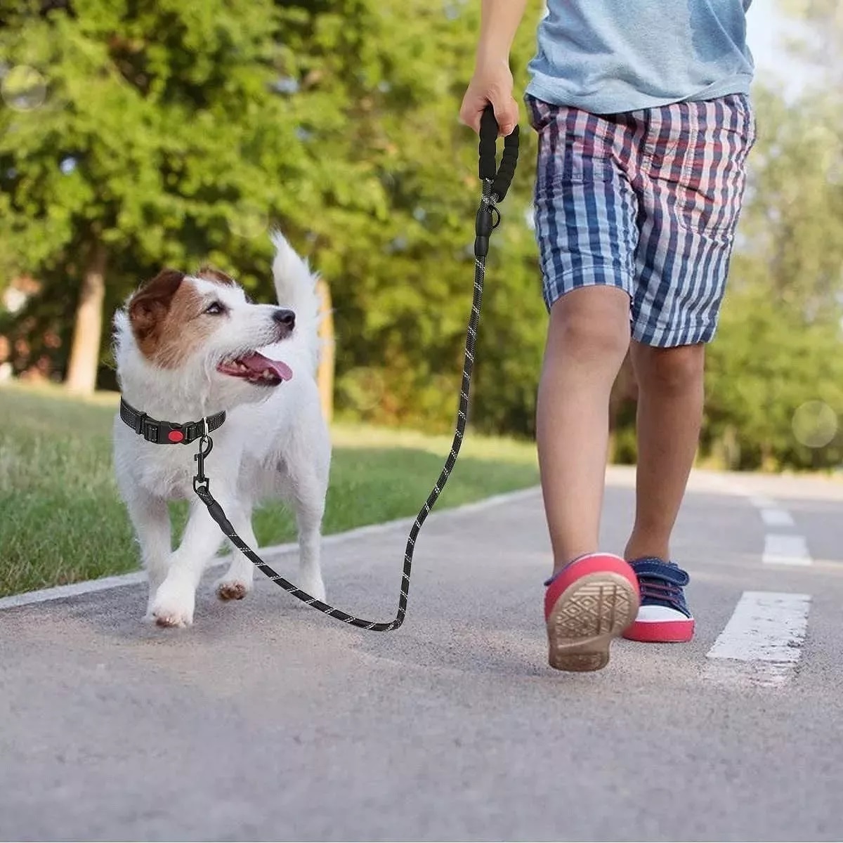 Correa Para Perro Grande Resistente Fuerte 2pcs Negro/Azul