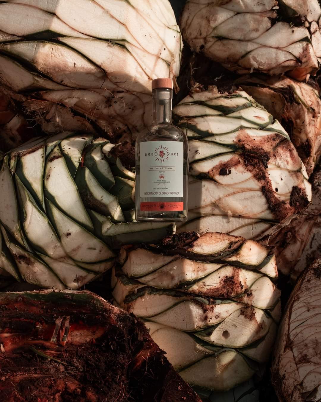 DOBLE COBRE | 1 Botella 750 ML | Mezcal Premium | Joven 100% Agave Cenizo DURANGENSIS | 40% Grados de Alcohol.