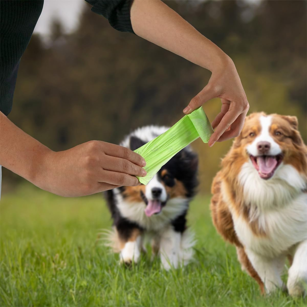 Bolsitas compostables para desechos de mascotas 16 rollos 22 x 27 cm