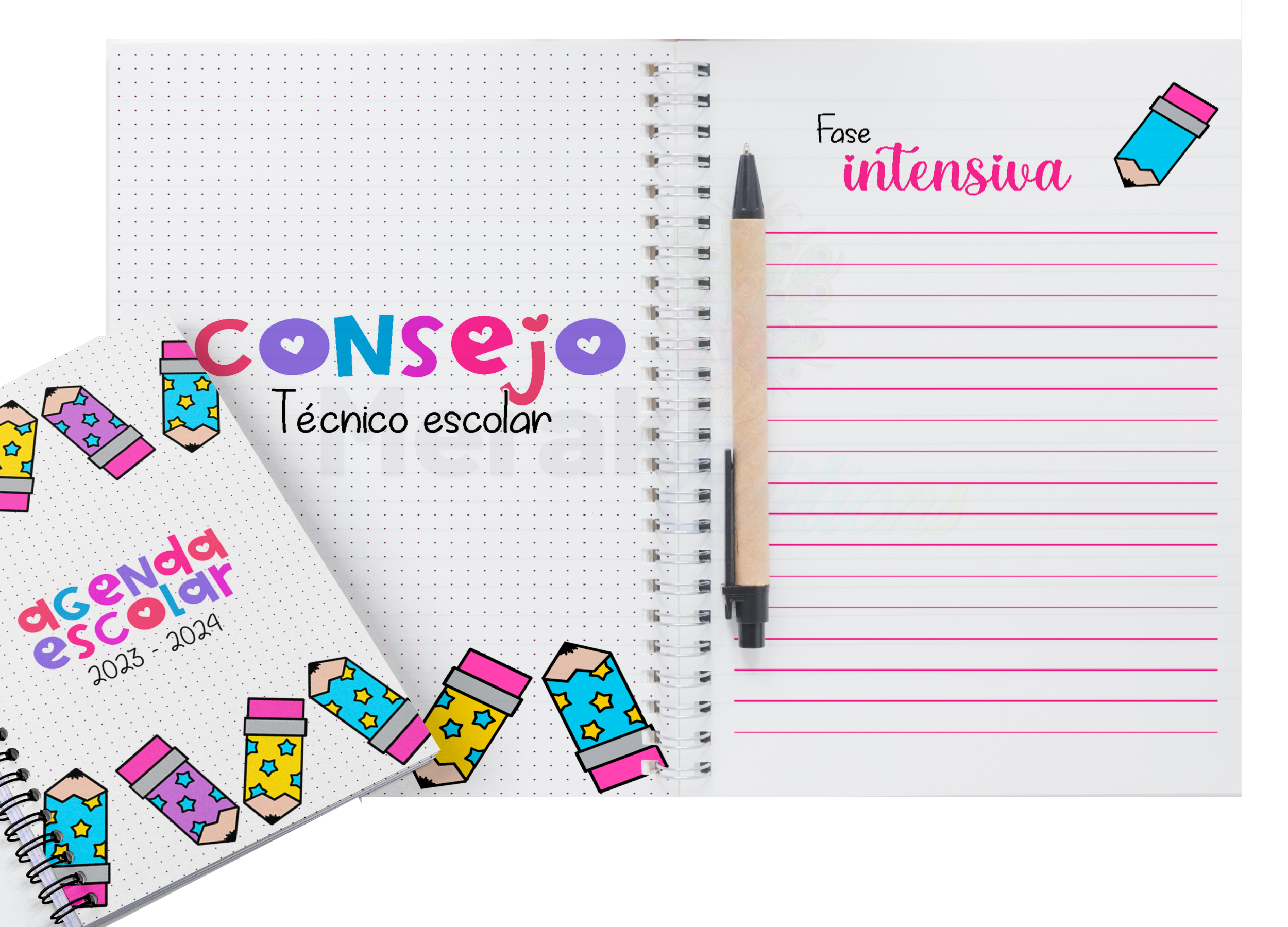 Agenda Escolar Docente Space 04 Agenda 2024 - 2025