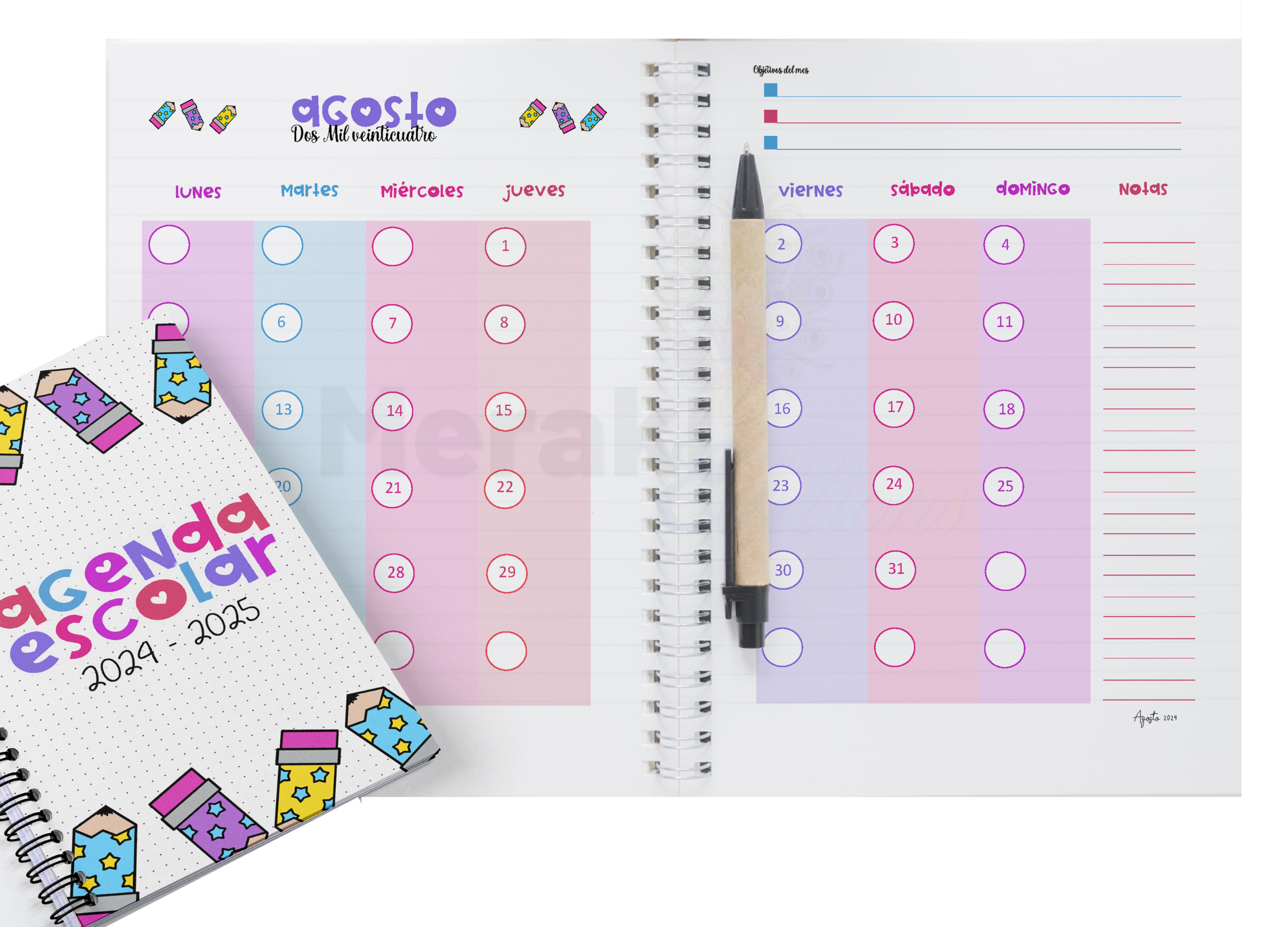 Agenda Escolar Docente Space 04 Agenda 2024 - 2025