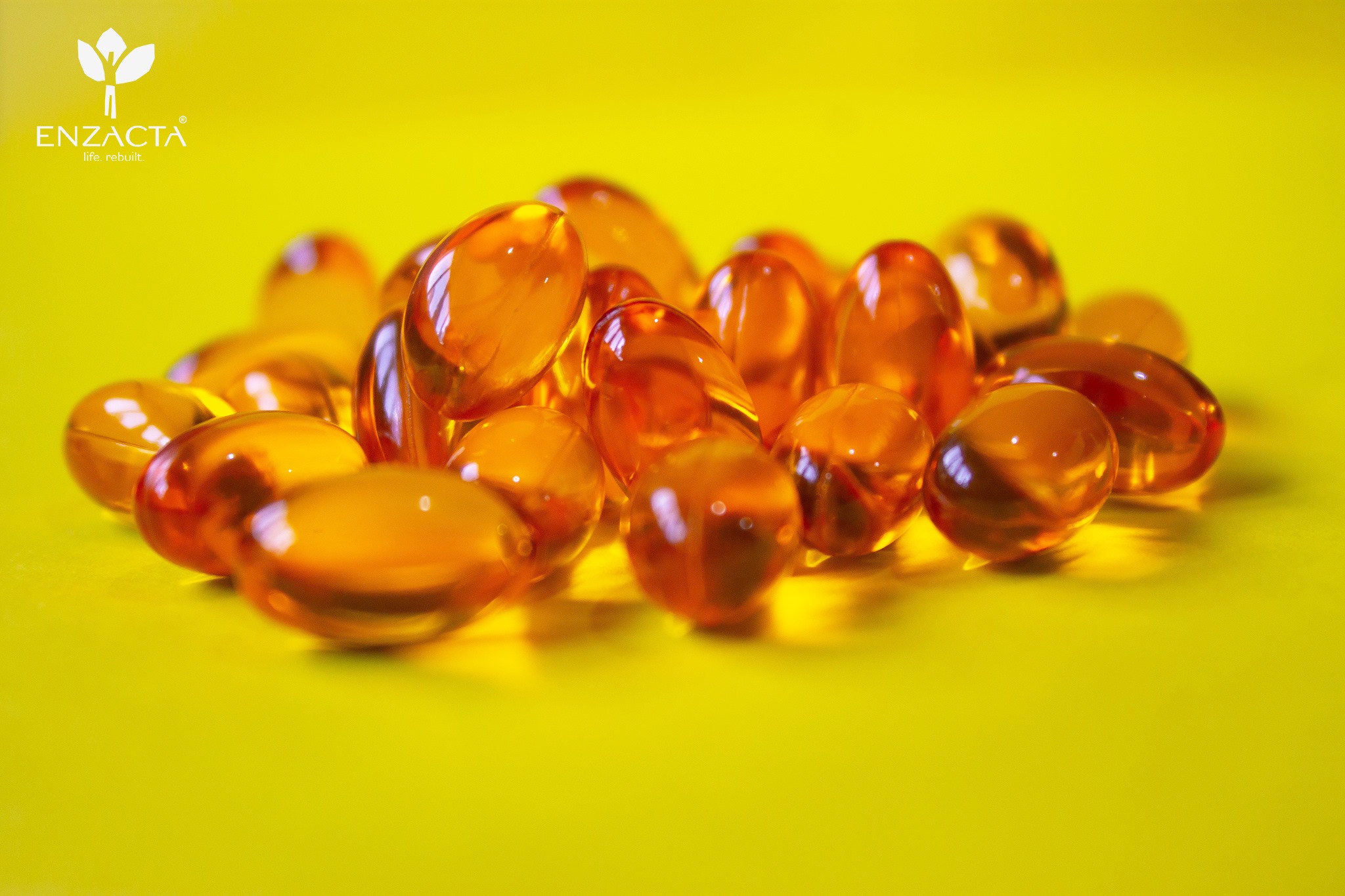 Alfa DHA 60 tomas ENZACTA