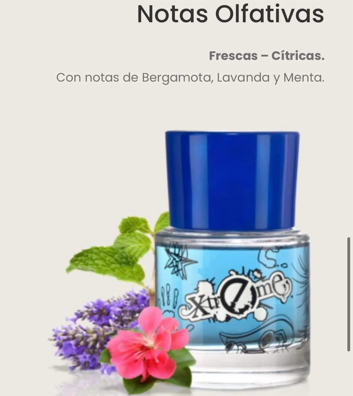 PERFUME PARA JÓVENES Y NIÑOS XTREME EAU DE TOILETTE EXCELENTE PARA JÓVENES DE 8 a 15 AÑOS AROMA DURADERO