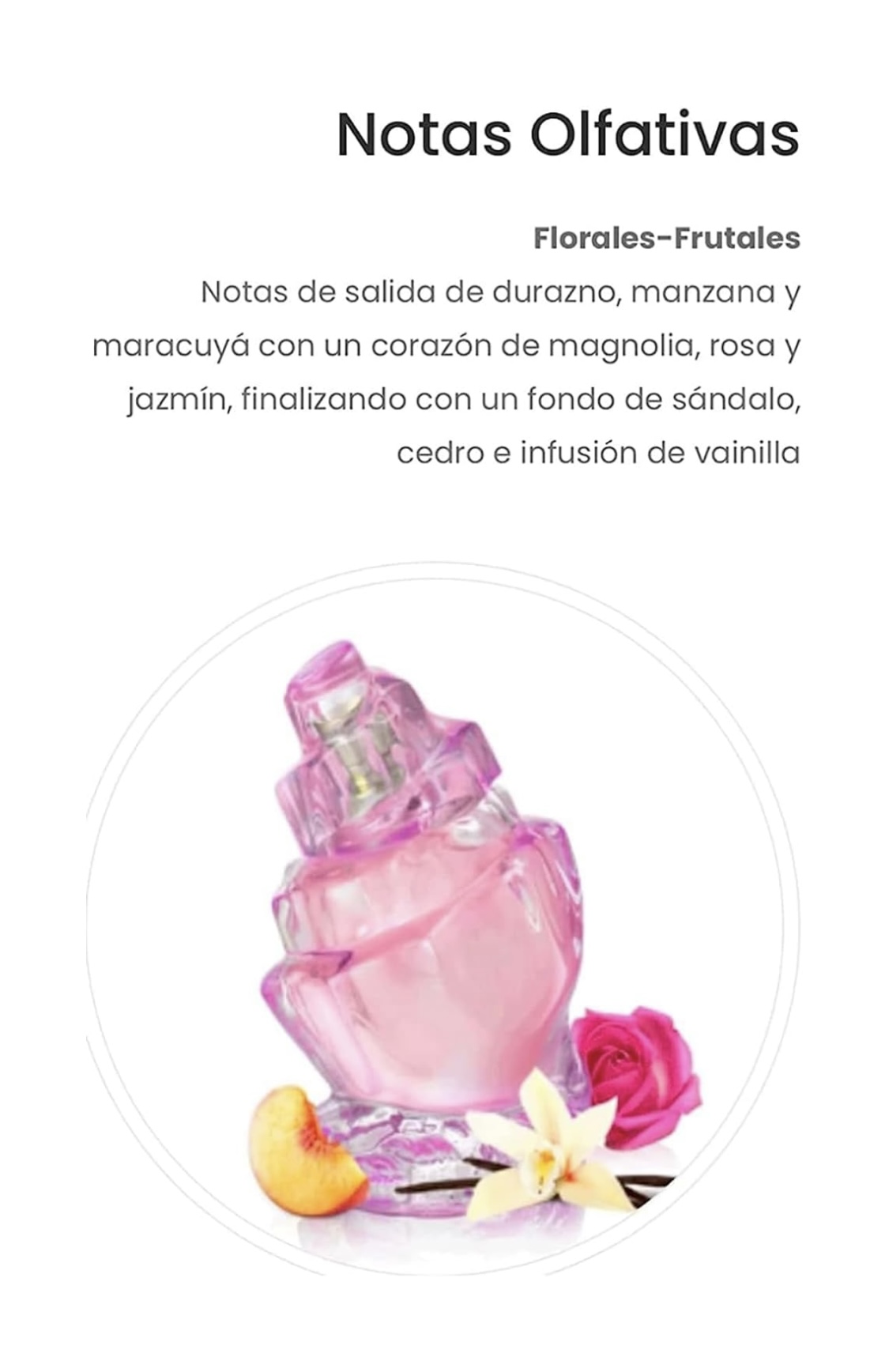 MIAMI BLOSSOM ESCADA DUPE CARIBE ROSE EAU DE PARFUM PERFUME PARA DAMA MUJER EAU DE PARFUM CARIBE ROSE PARA LA MUJER MODERNA INDEPENDIENTE