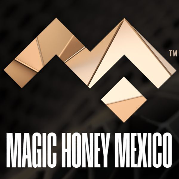 MAGIC HONEY 3 SACHETS MUJER