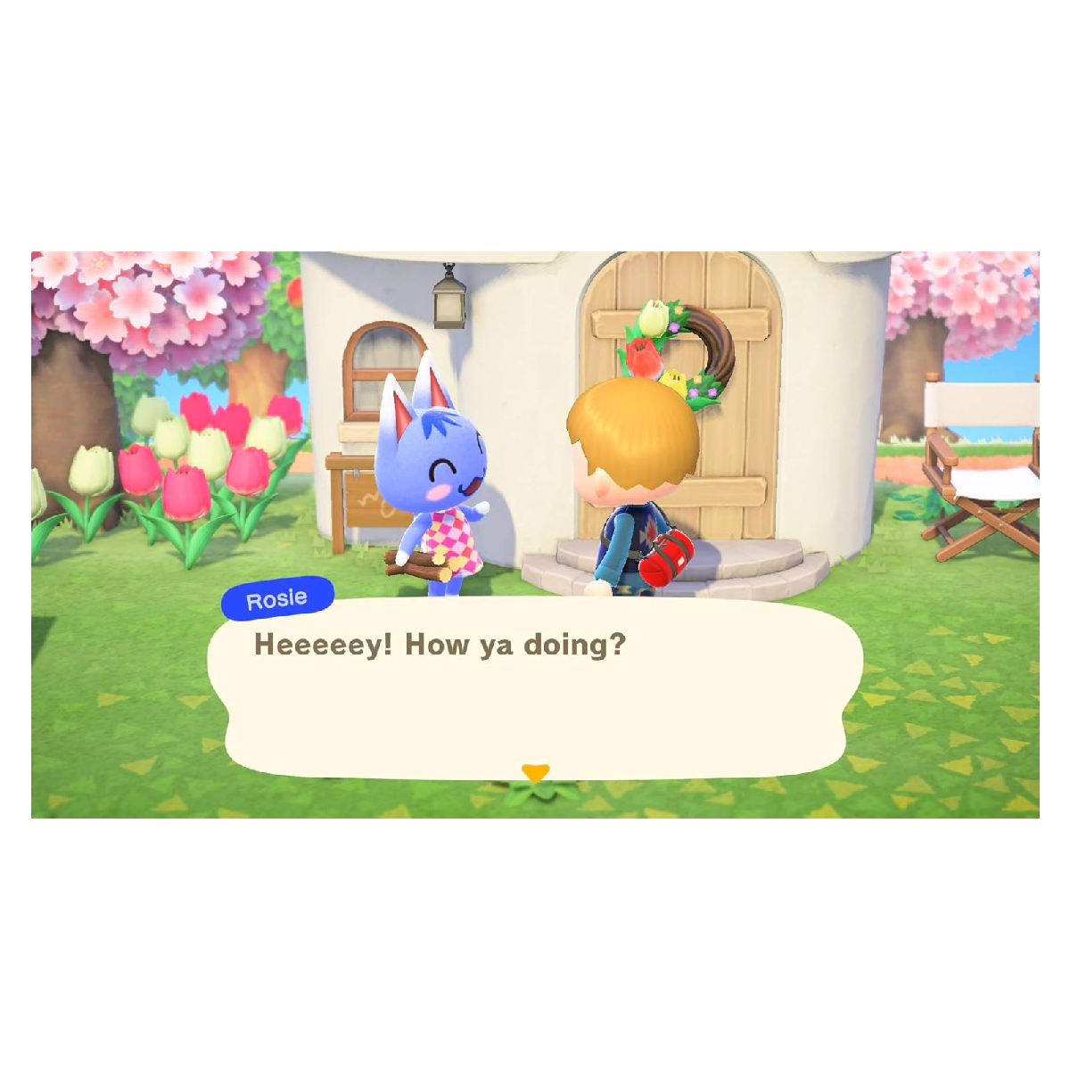 Animal Crossing New Horizons - Nintendo Switch.