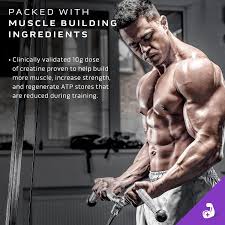 PROTEINA MUSCLETECH MASS-TECH  EXTREME 2000 VAINILLA