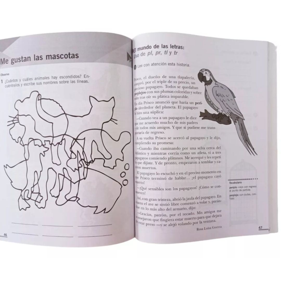 Ejercicios De Ortografía 2 Primaria - Larousse