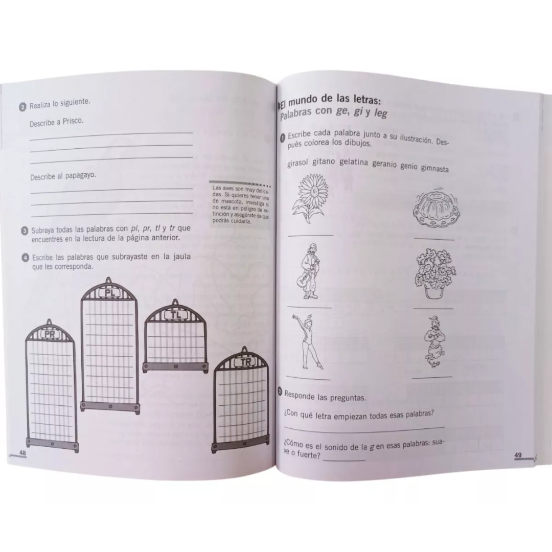 Ejercicios De Ortografía 2 Primaria - Larousse