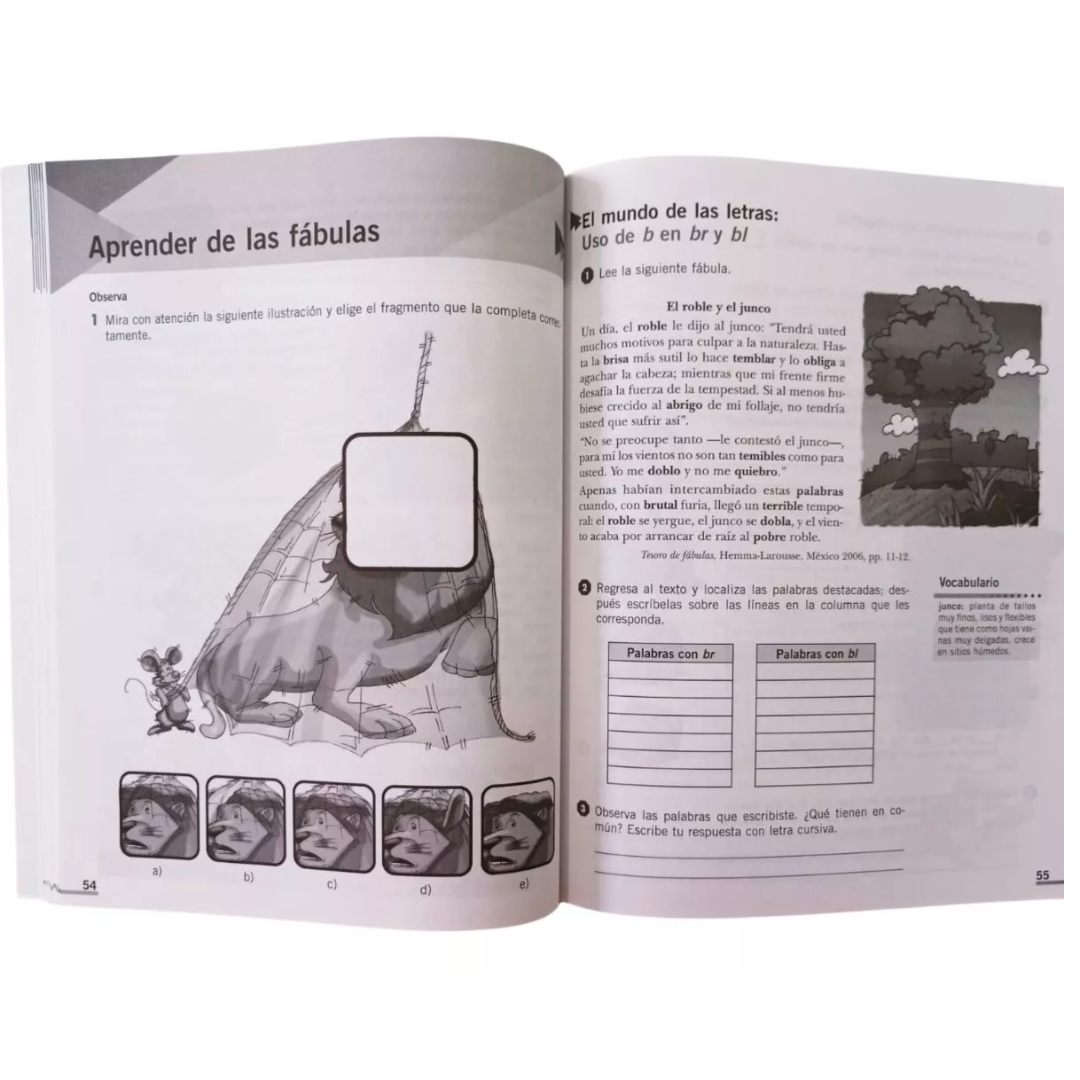 Ejercicios De Ortografía 3 Primaria - Larousse