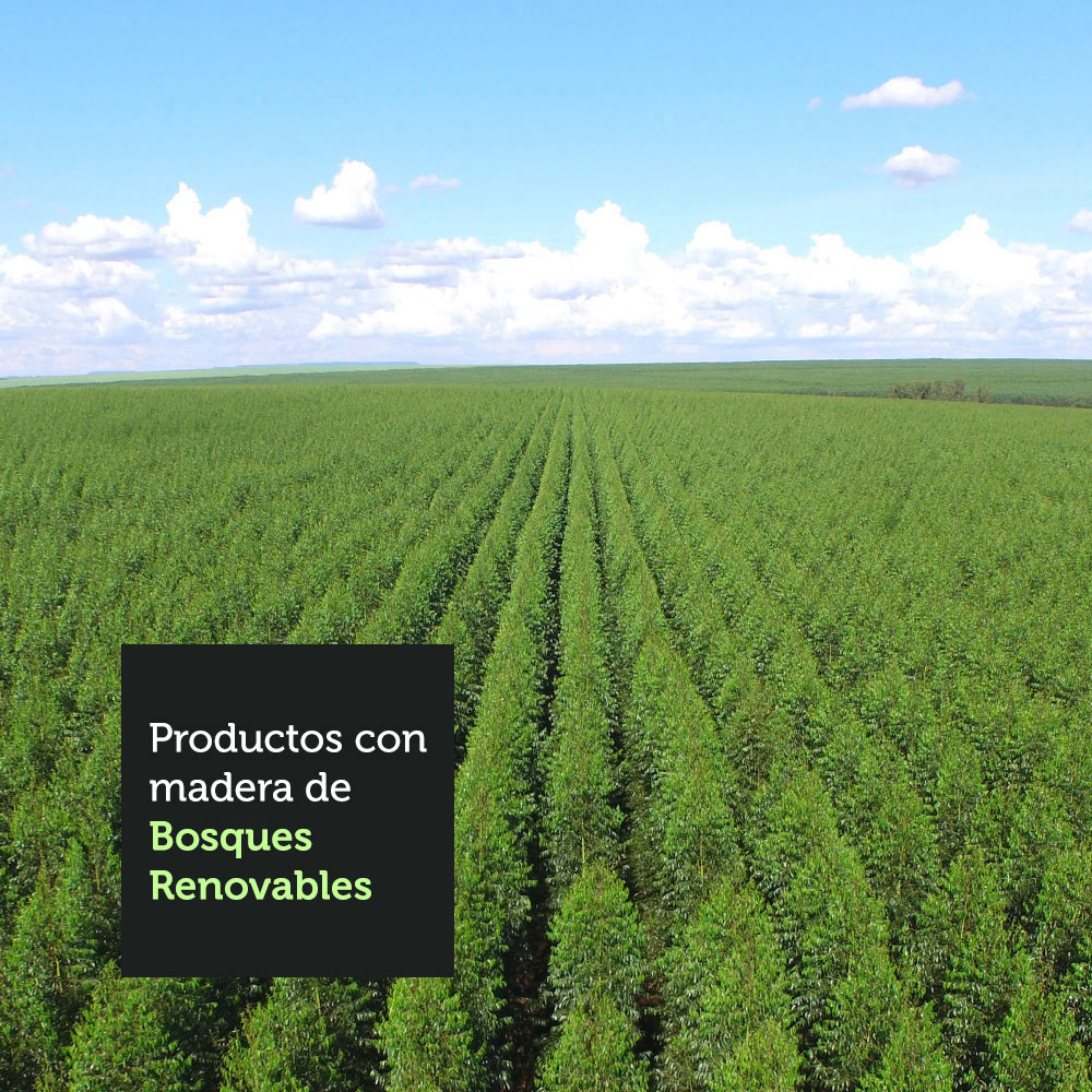 Panel para Tv hasta 50 Pulgadas Madesa Arizona con 1 Estante y 2 Nichos Marrón