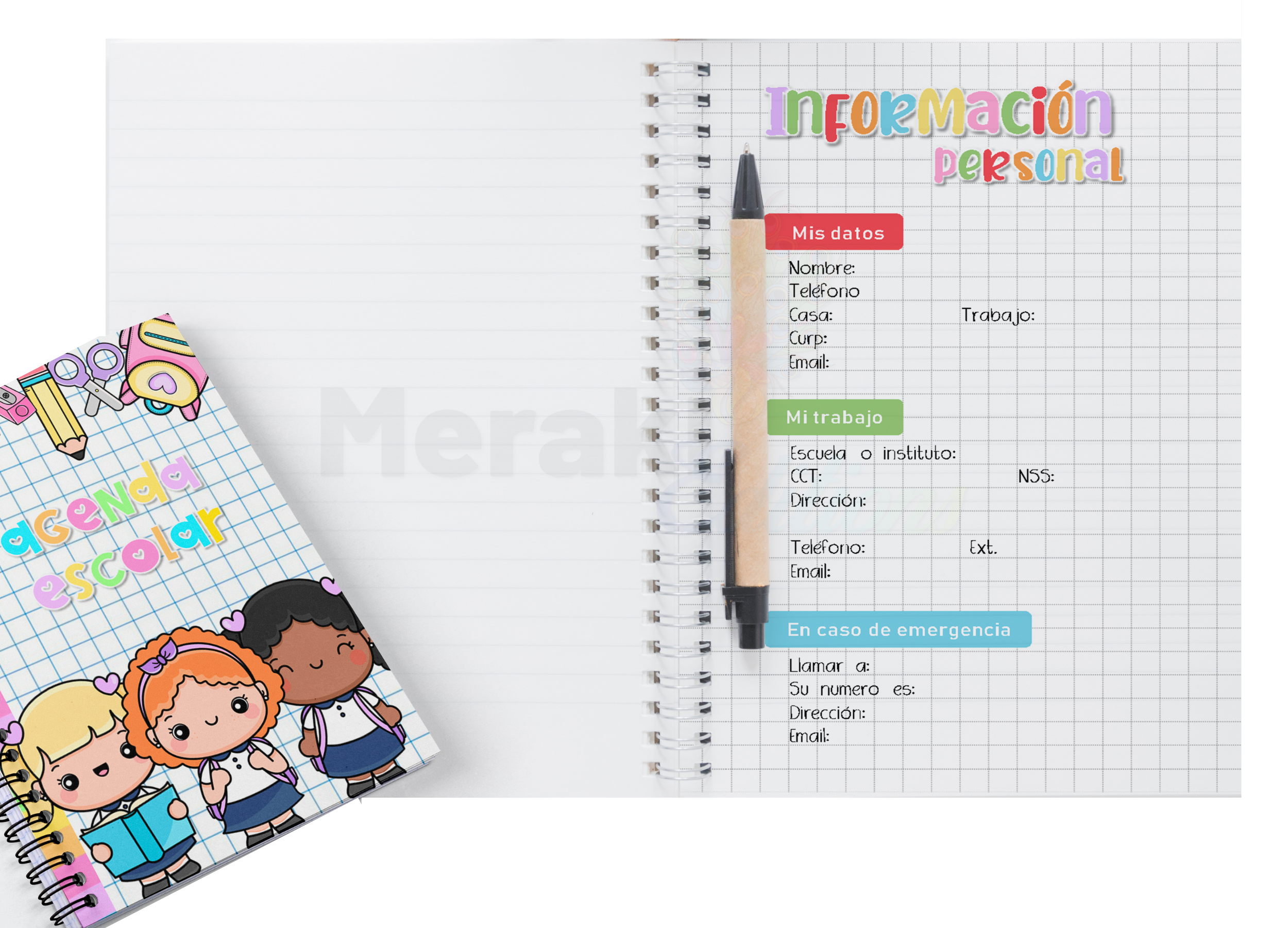 Agenda Escolar Docente Profesora 03 Agenda 2024 - 2025