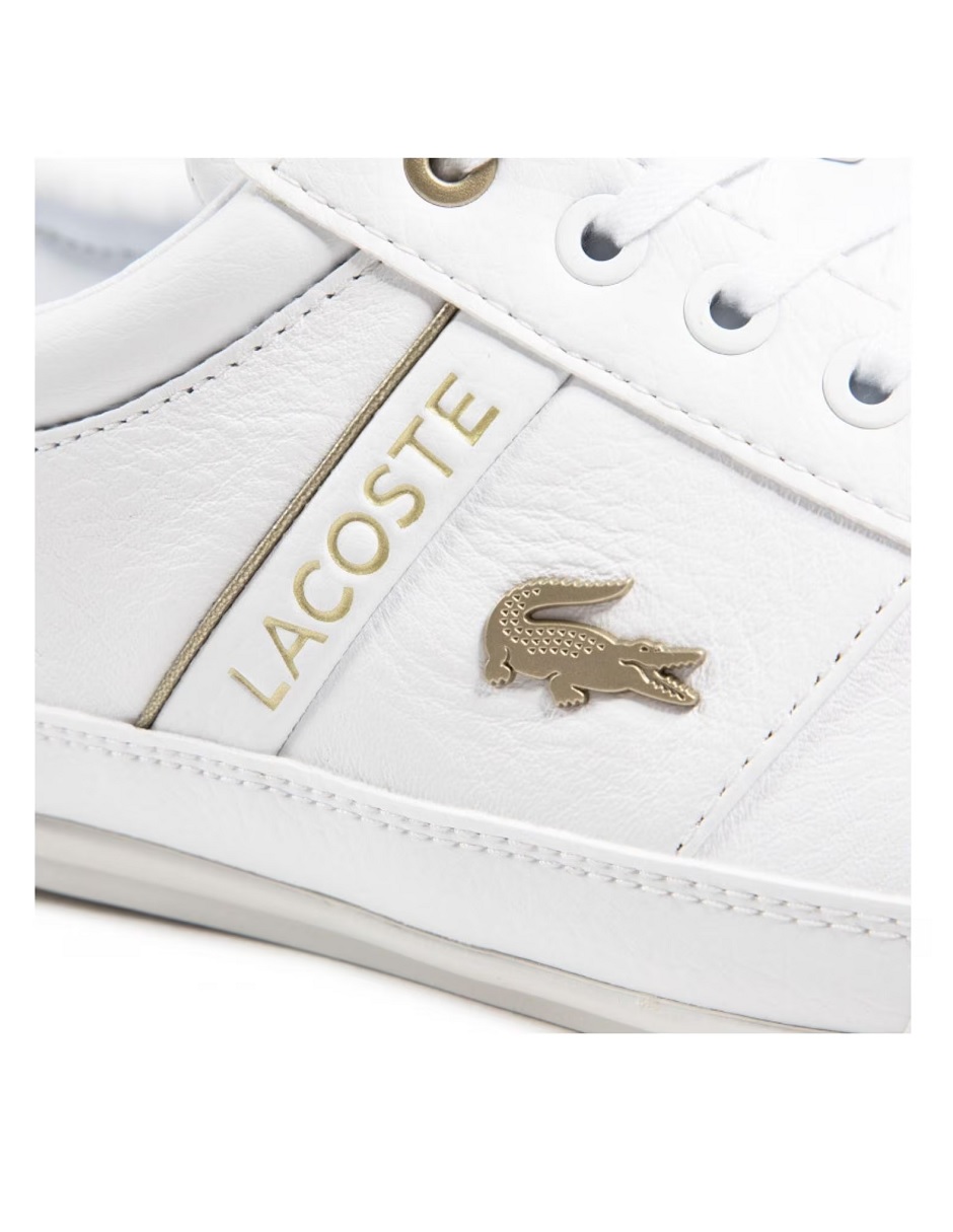 Tenis Lacoste Chaymon Cafe Lacoste Chaymon Cafe Chaussures Lacoste