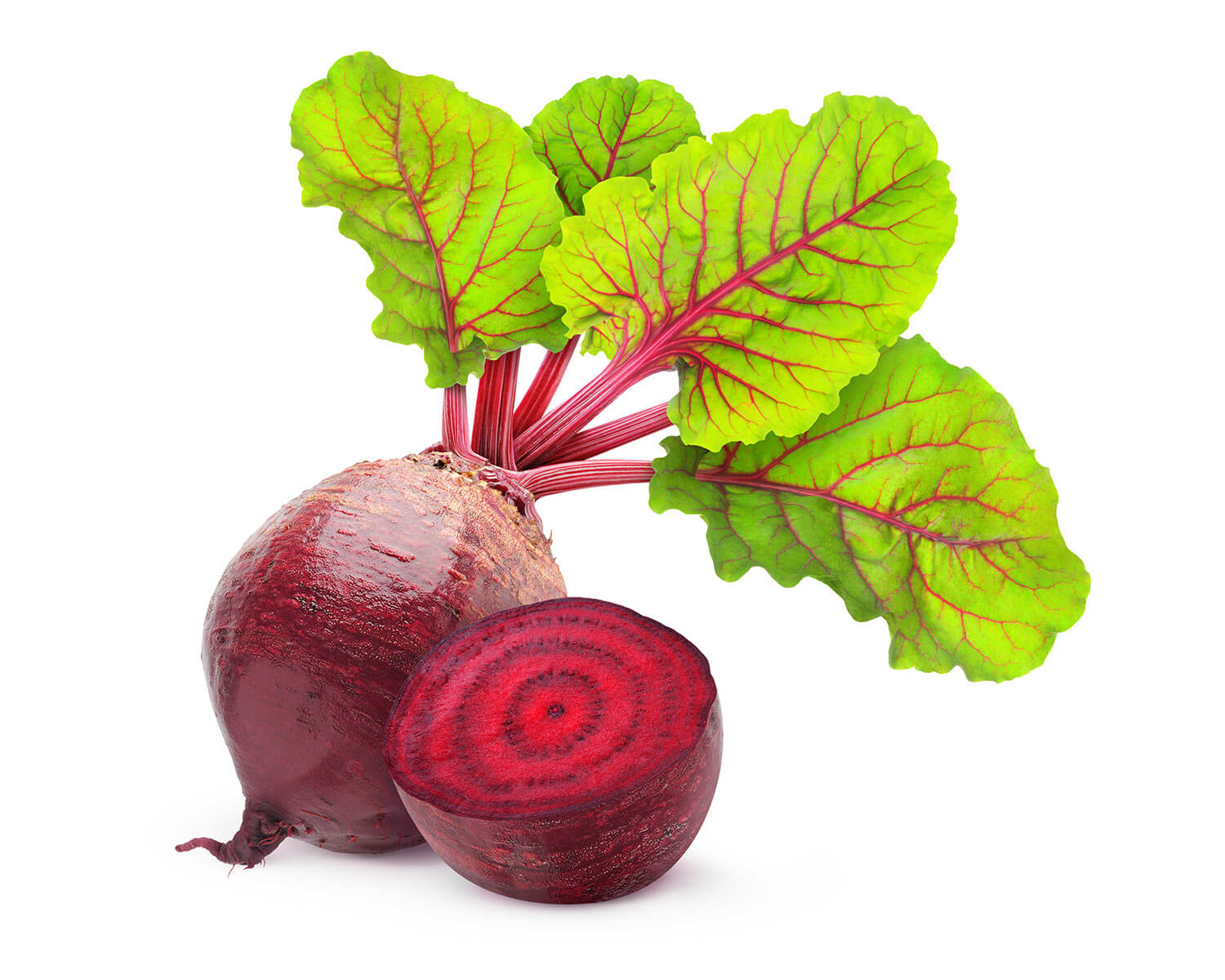 Alfa Pxp Extreme Enzacta Distribuidor Autorizado