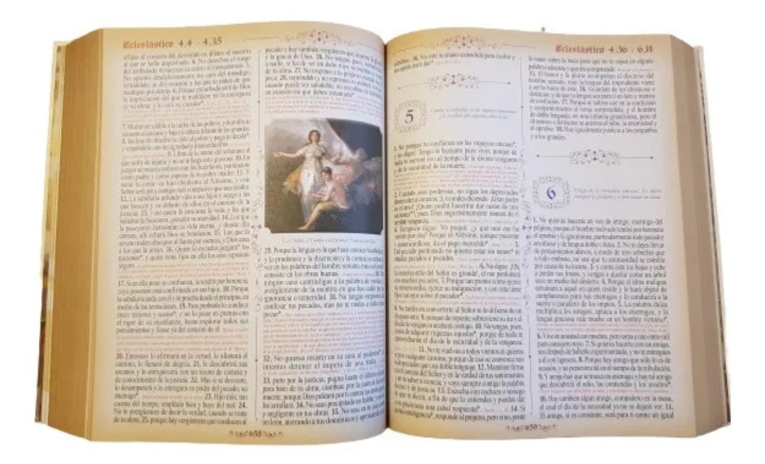 Sagrada Biblia Dorada De Lujo Edición Latinoamericana