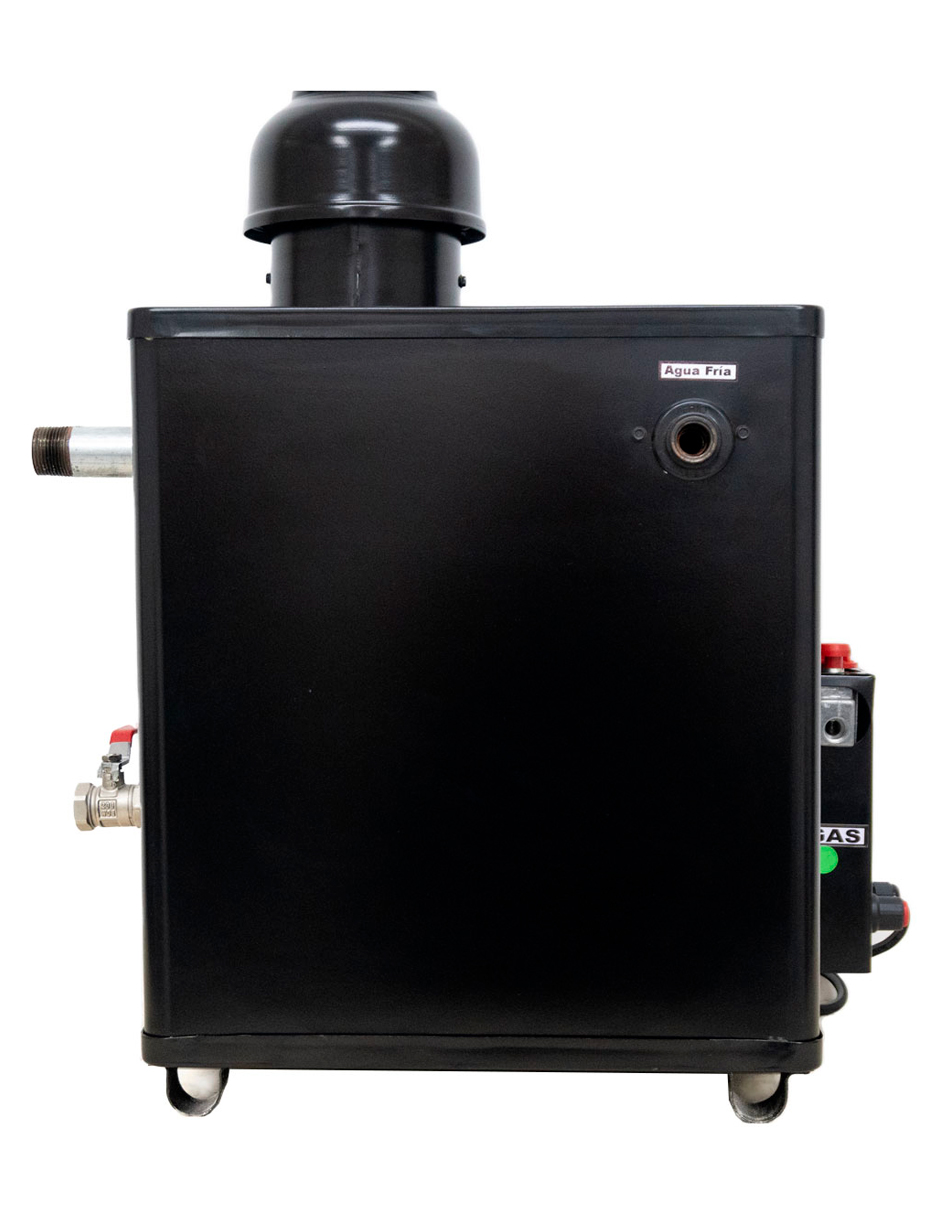 Generador de vapor DELTA PARA 5M3 Gas Natural.