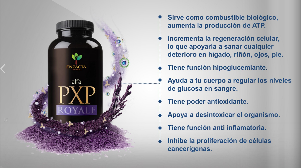 Alfa PXP Royale 30 Tomas