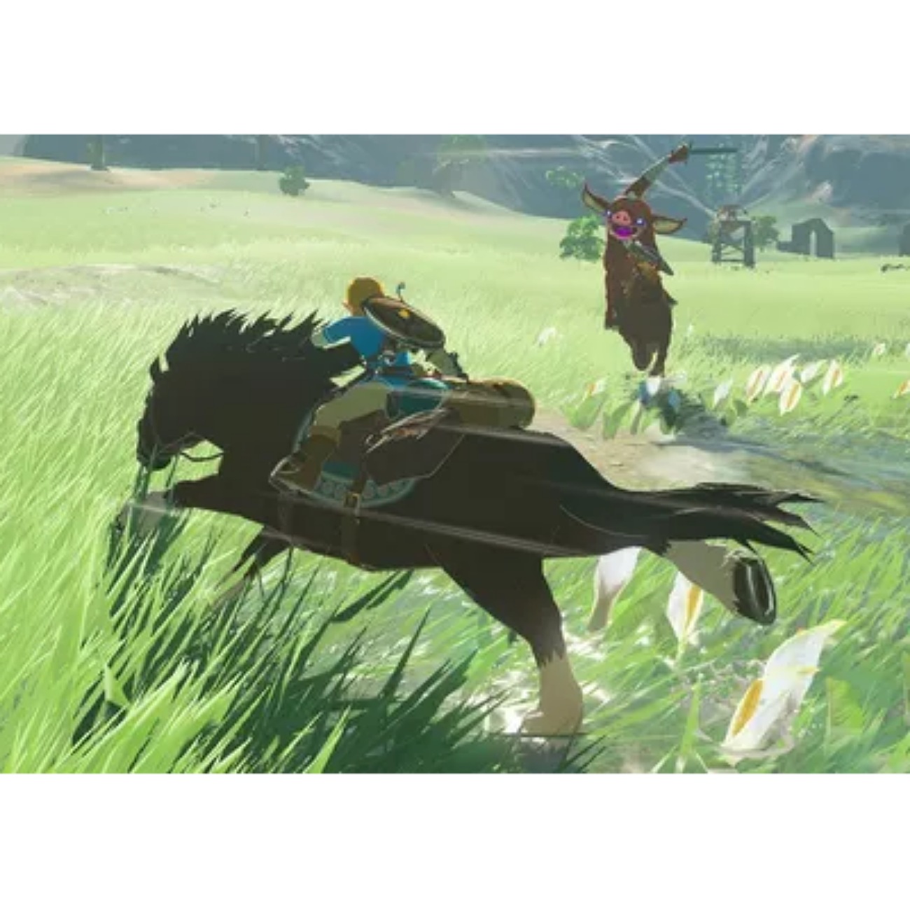 Legend Of Zelda Breath Of The Wild Nintendo Switch