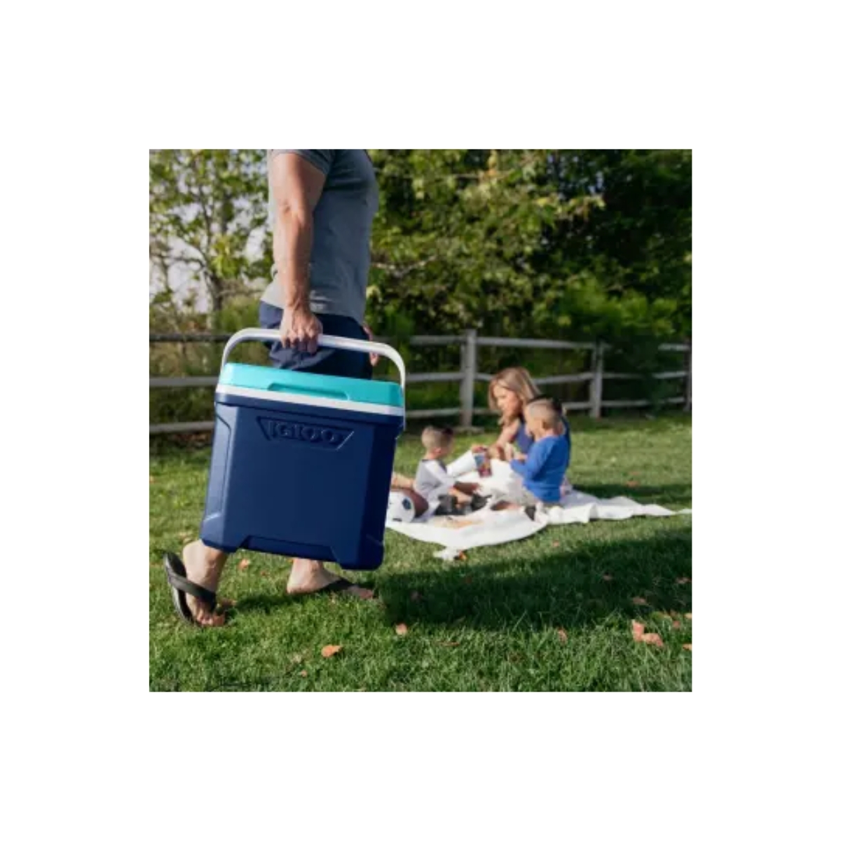 Hielera Igloo Profile 28.3 litros 40 Latas Manija Transportable.