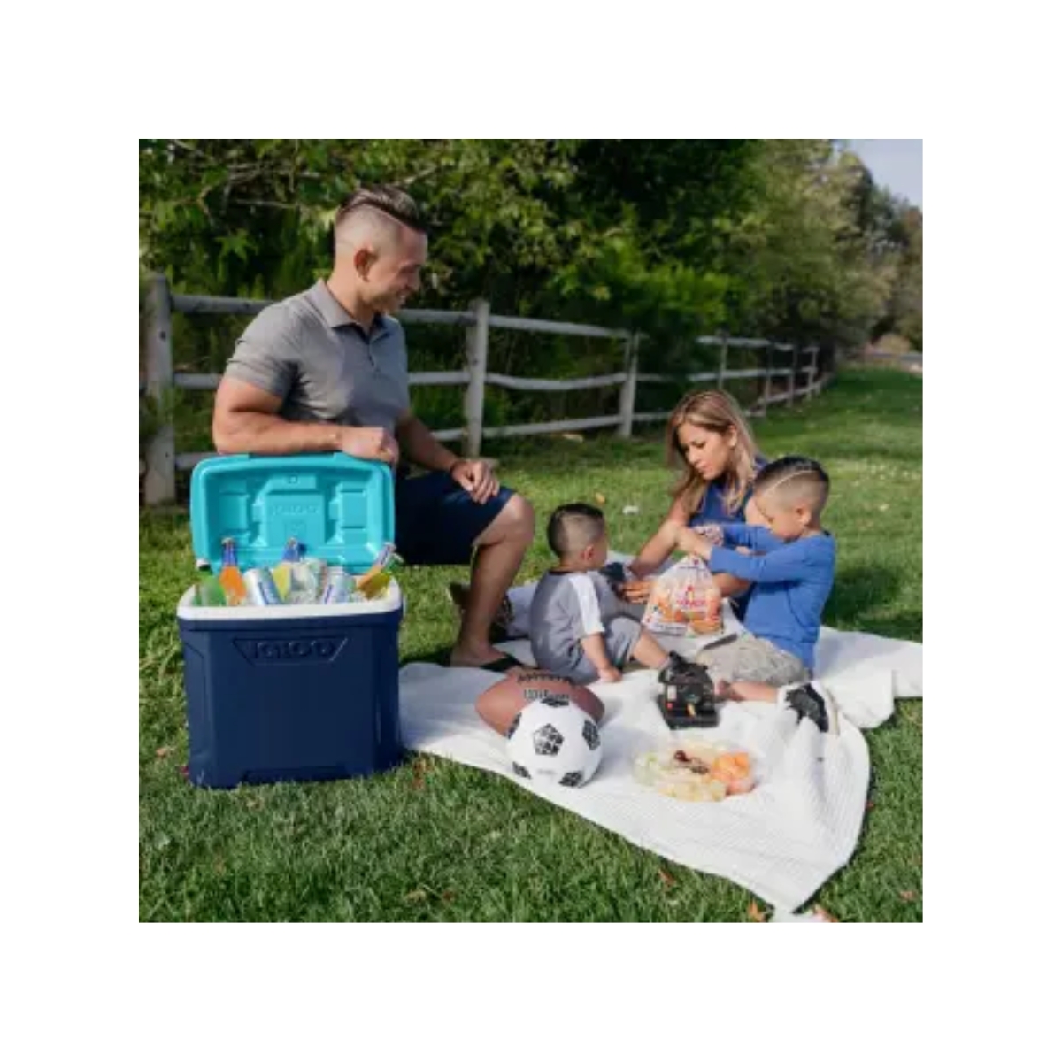 Hielera Igloo Profile 28.3 litros 40 Latas Manija Transportable.