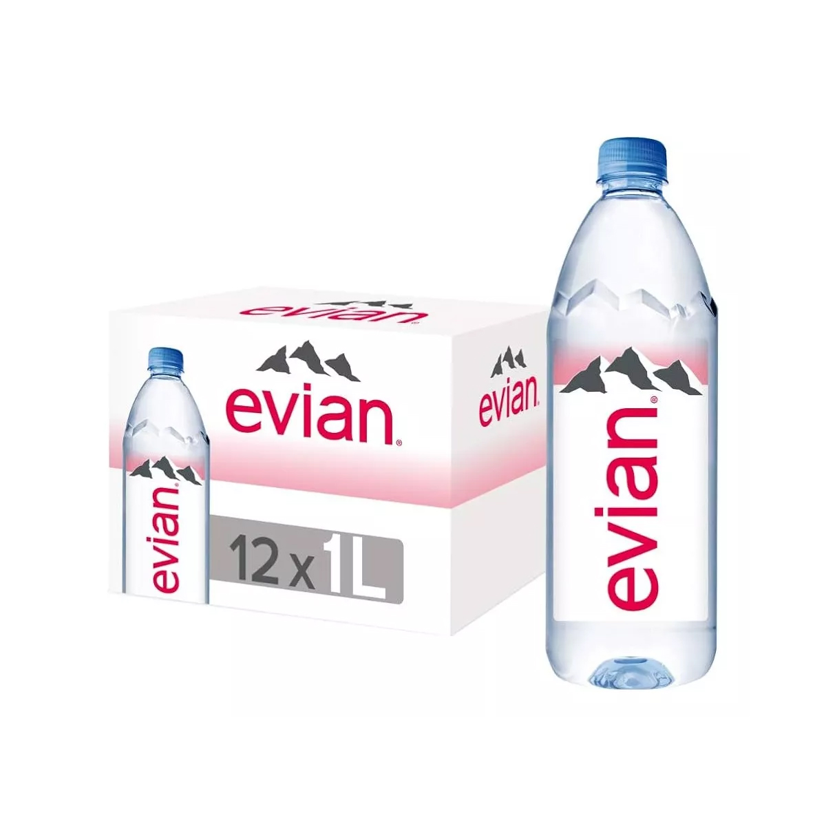 Agua Natural Evian 12 Piezas de 1 Litro c/u