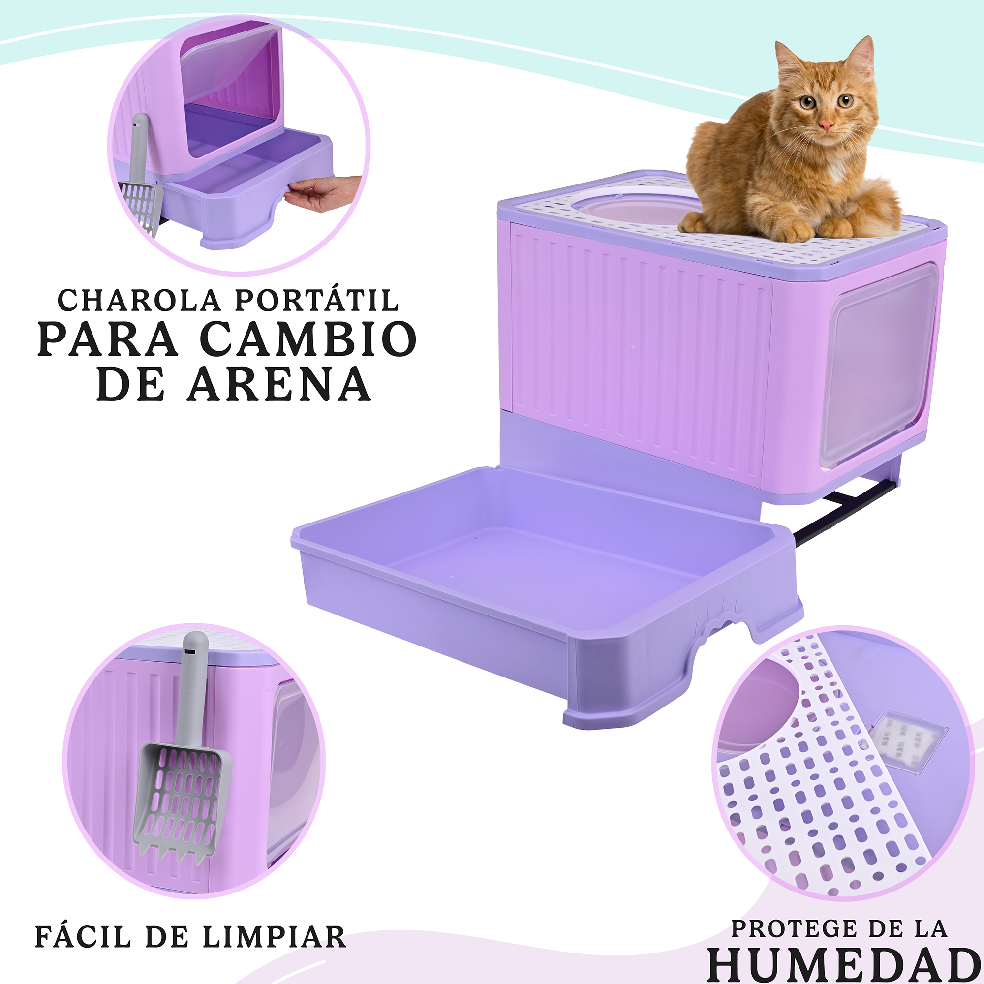 De Arena Gato Arenero Para Gato Bebe Arenero Para Gato, Caja