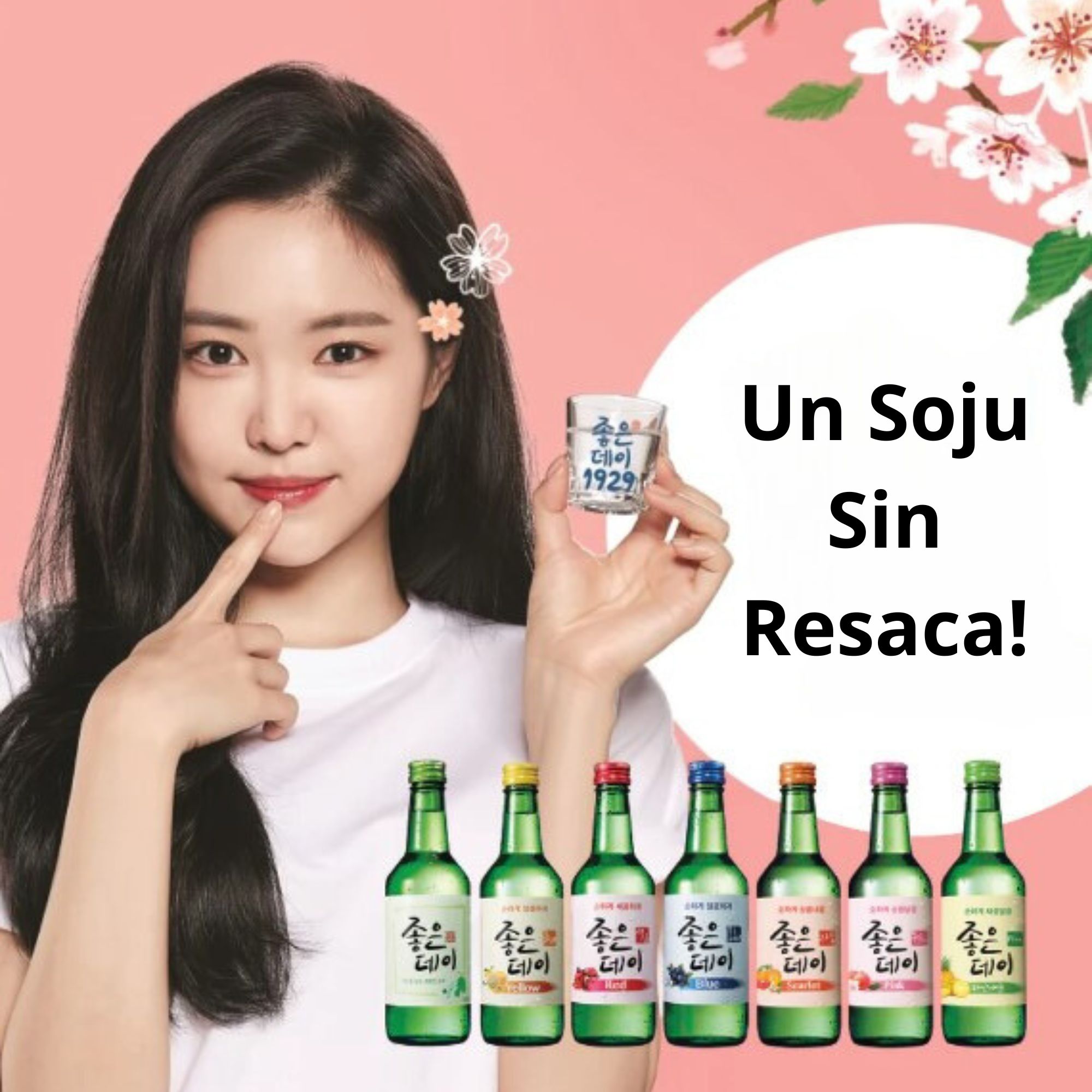 Bebida Coreana Licor Buen Día Sojo Sabor Litchi 5 pzs