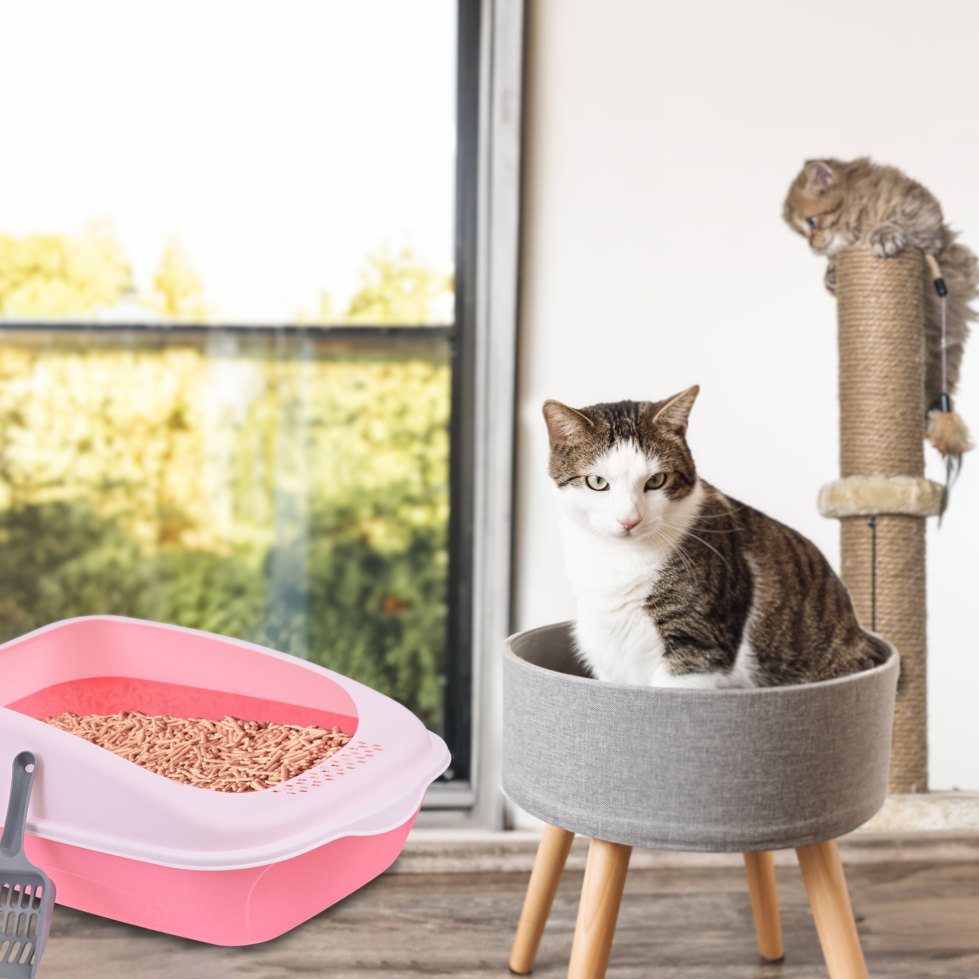 Arenero Para Gato Grande con Bandeja Sanitaria, Abierto, Plegable, Fácil Armado, Materiales De Calidad, Diferentes Colores mod.AL003