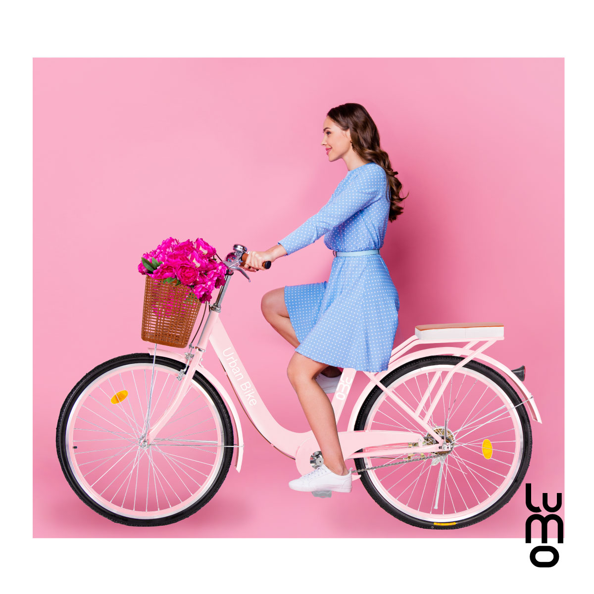 Bicicleta Urbana De Paseo R26 Doble Freno Vintage Canastilla.