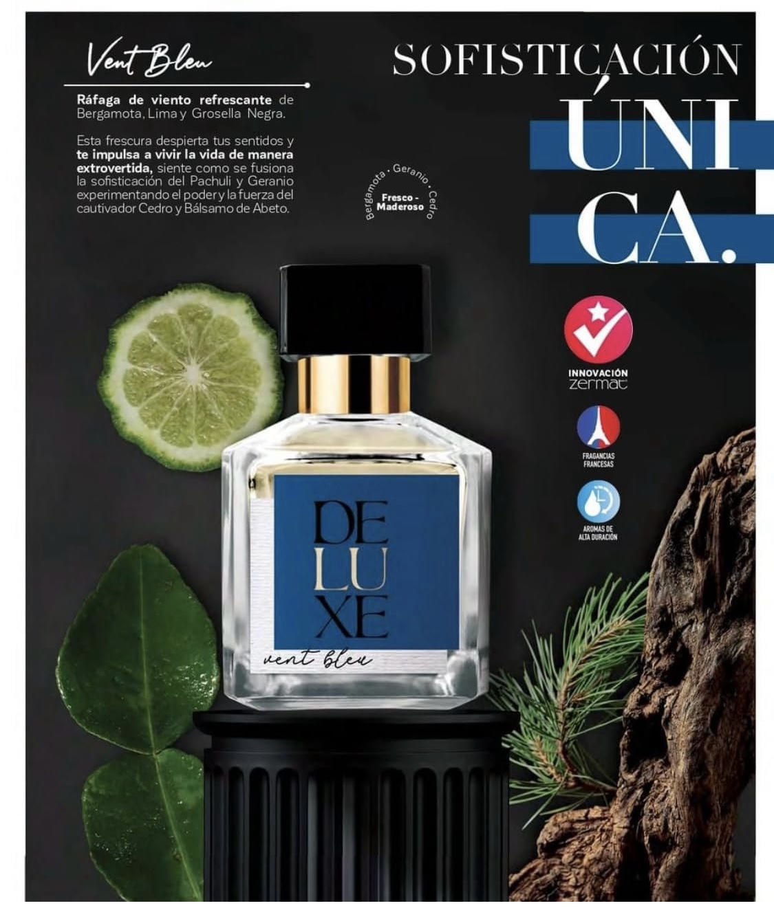 AVENTUS CREED DUPE VENT BLEU DUPE FRAGANCIA PERFUME DE FRAGANCIAS NICHO DELUXE VENT BLEU DUPE DE AVENTUS CREED FRAGANCIA EXQUISITA Y DURADERA