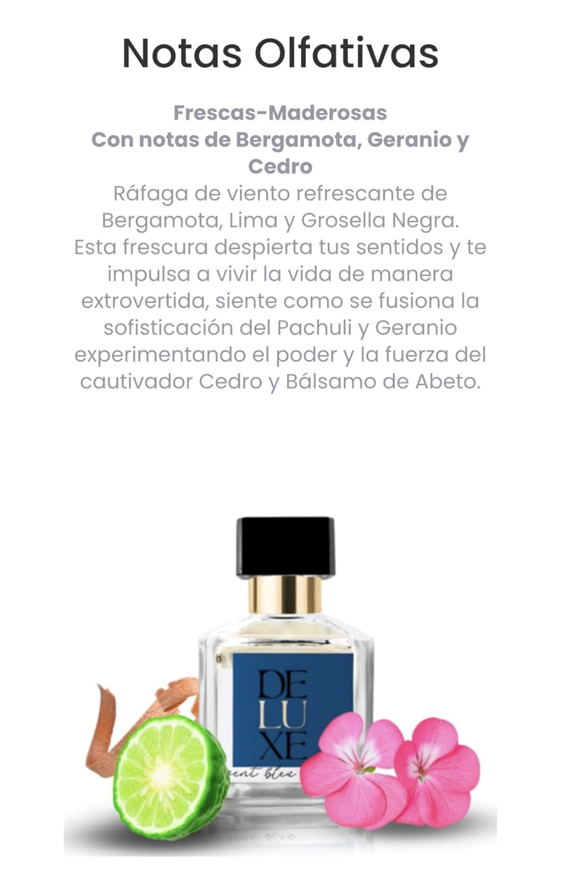 AVENTUS CREED DUPE VENT BLEU DUPE FRAGANCIA PERFUME DE FRAGANCIAS NICHO DELUXE VENT BLEU DUPE DE AVENTUS CREED FRAGANCIA EXQUISITA Y DURADERA