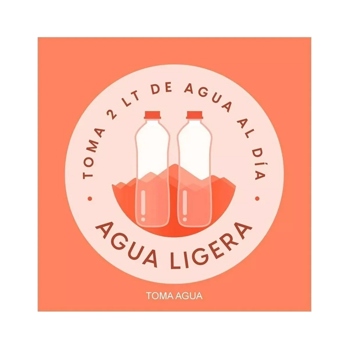 Agua Bonafont 6 Piezas de 1 litro c/u