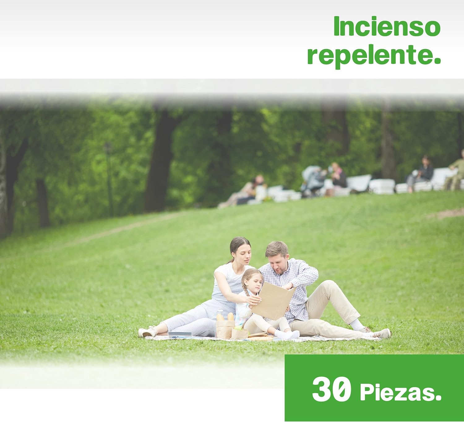 BIOPURE - Incienso Repelente - ahuyenta Mosquitos, Moscas y Otros Insectos - Ideal para Salas, Habitaciones, oficinas, spas y más - Poderoso y Relajante Aroma Herbal - 30 Piezas..