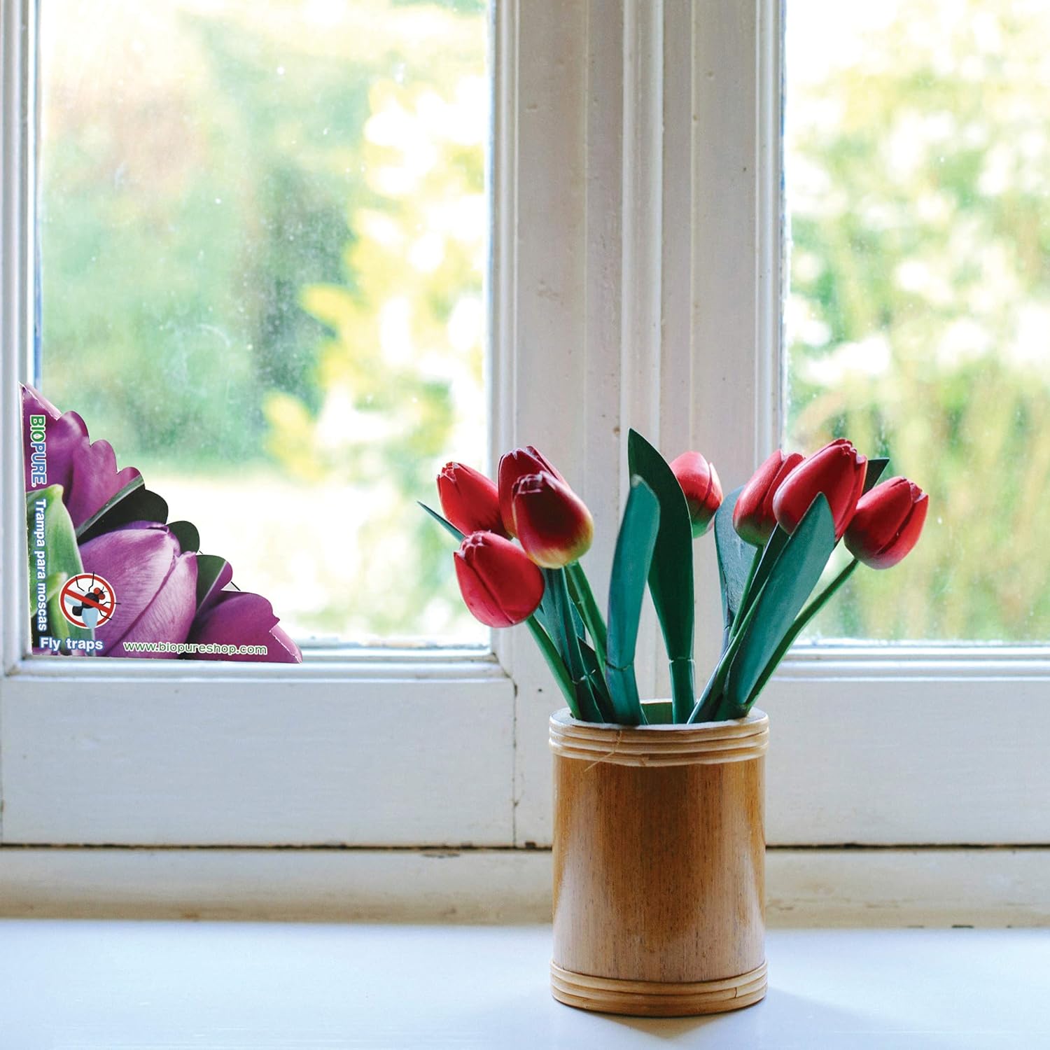 BIOPURE Kit de trampas de Pegamento para Moscas - No venenoso - Seguro para niños y Mascotas - Su Aroma atrae a Las Moscas - 30 Pack - 100% Ecológico..