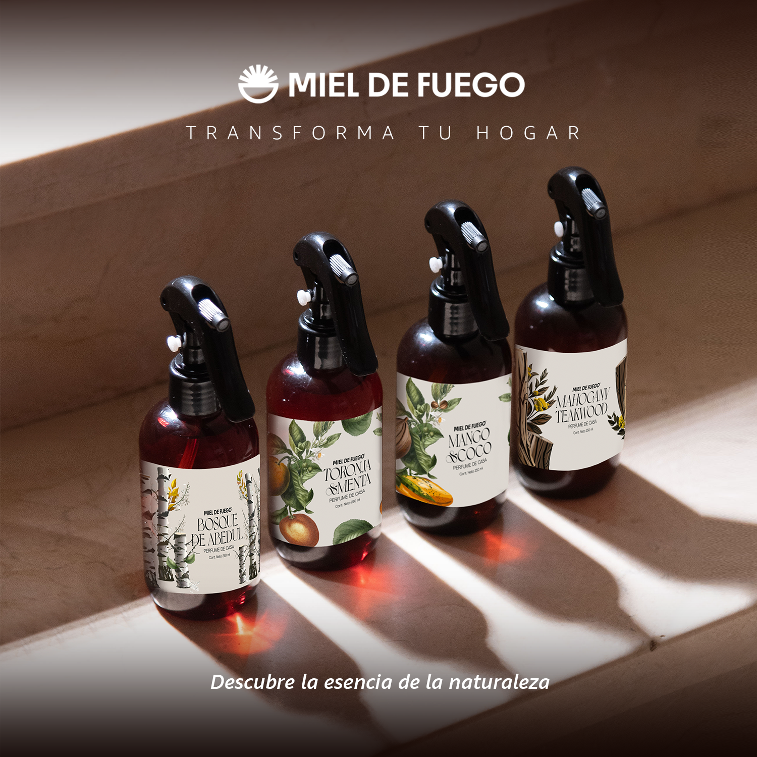 Perfume para Hogar 100% Natural – Aroma Bosque de Abedul | Aroma Duradero – 250 ml | Fusión de Pino con Notas Vívidas de Eucalipto, Ciprés y Haba Tonka