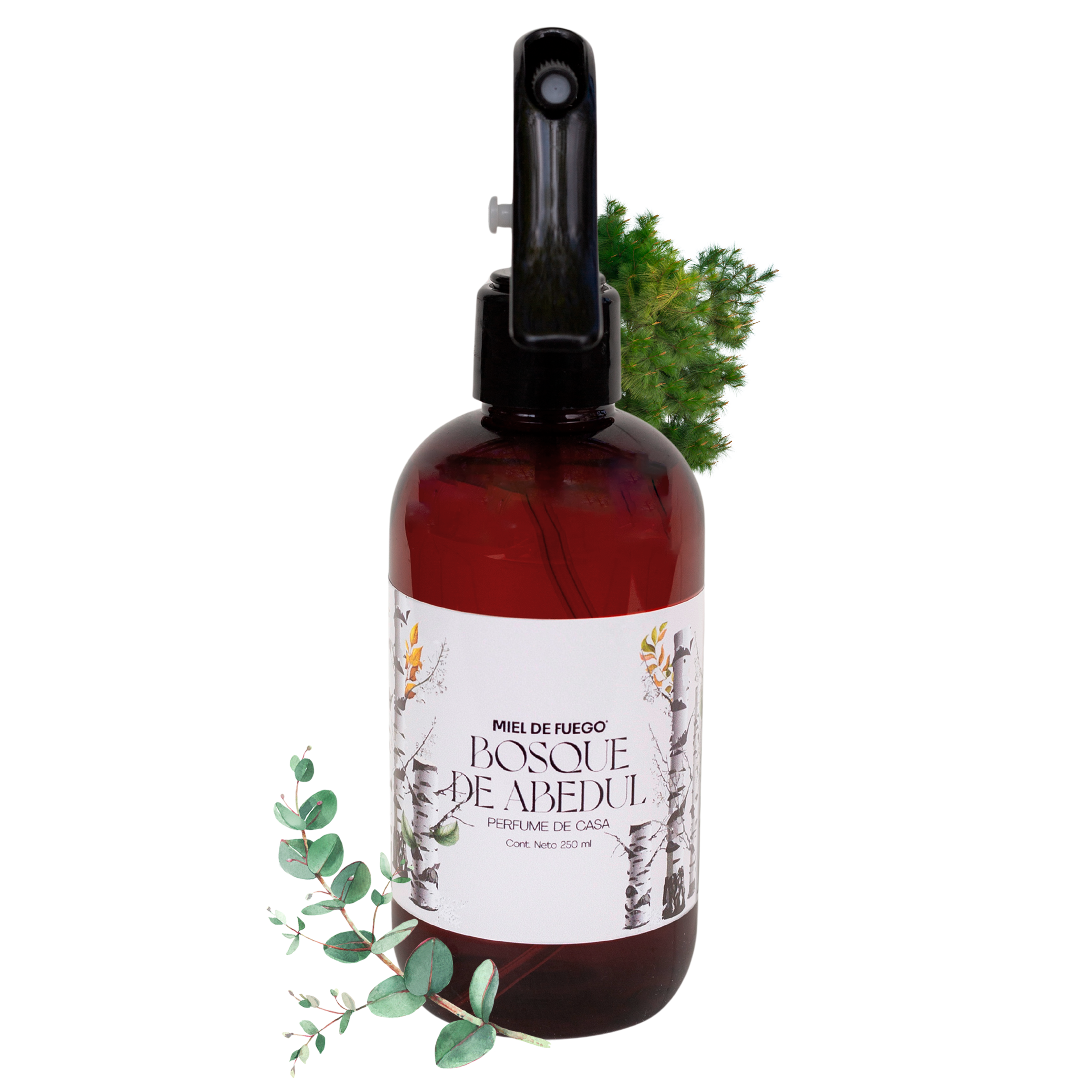 Perfume para Hogar 100% Natural – Aroma Bosque de Abedul | Aroma Duradero – 250 ml | Fusión de Pino con Notas Vívidas de Eucalipto, Ciprés y Haba Tonka