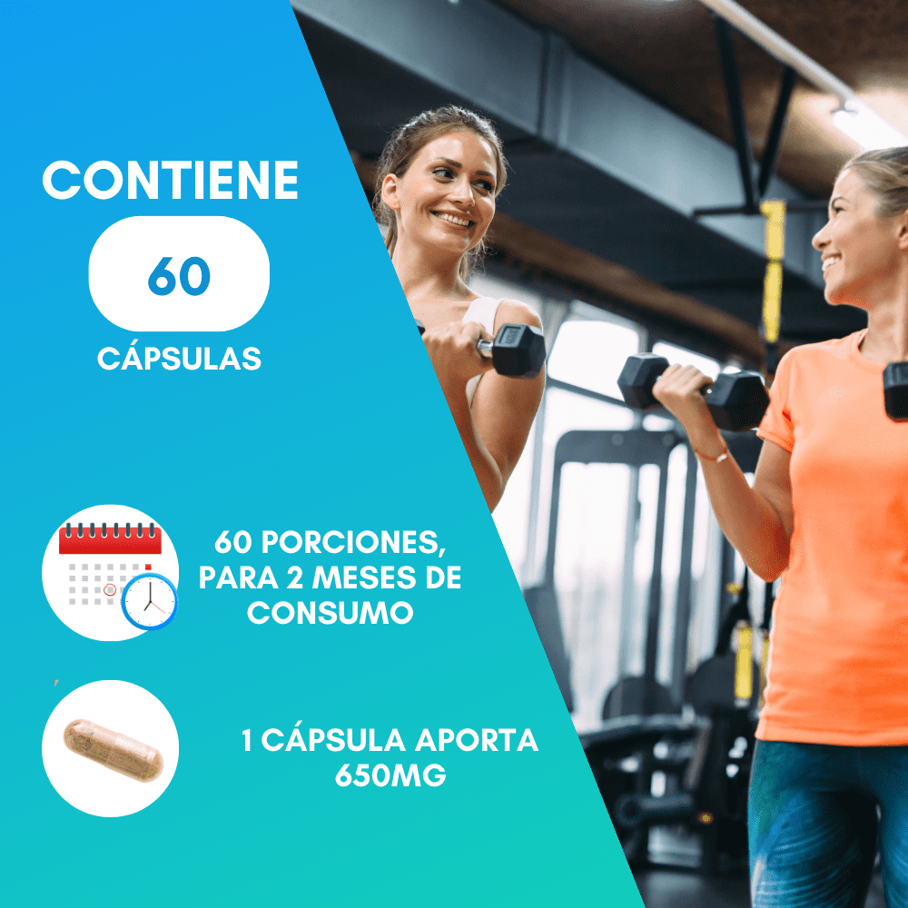 Nutrasien100 CLA cápsulas 600mg de Ácido Linoleico Conjugado Termogénico Keto Pre-entreno Vegano 60Caps