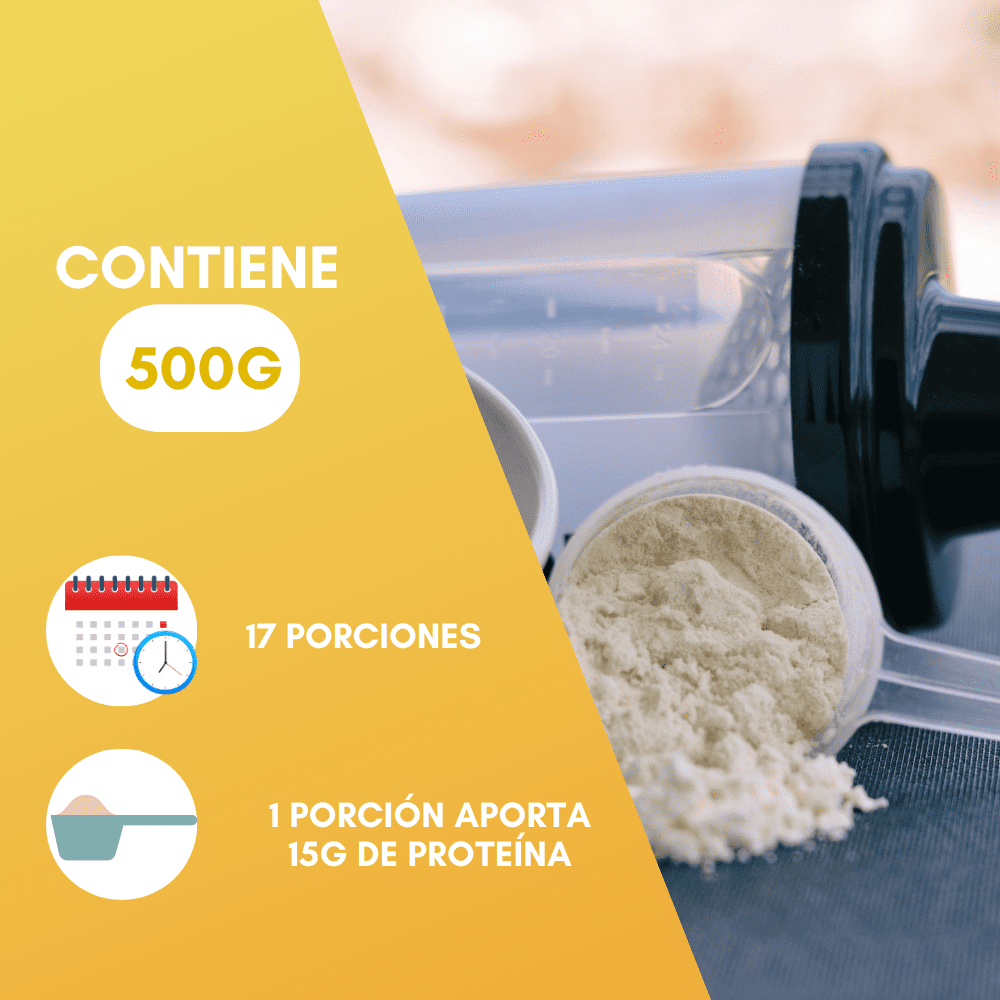 Nutrasien100 Proteína Vegana sabor Vainilla. Ideal para Keto, Pre workout, Vegano, Paleo. Sin azúcar. Fácil digestión. Ideal hombres y mujeres. 500g – 17 porciones. Pro100 vegana