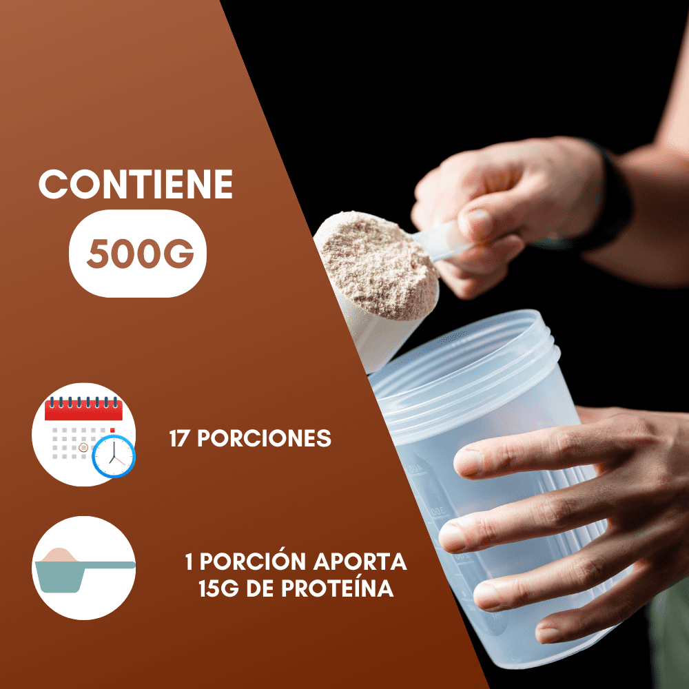 Nutrasien100 Proteína Vegana sabor Chocolate. Ideal para Keto, Pre workout, Vegano, Paleo. Sin azúcar. Fácil digestión. Ideal hombres y mujeres. 500g – 17 porciones.
