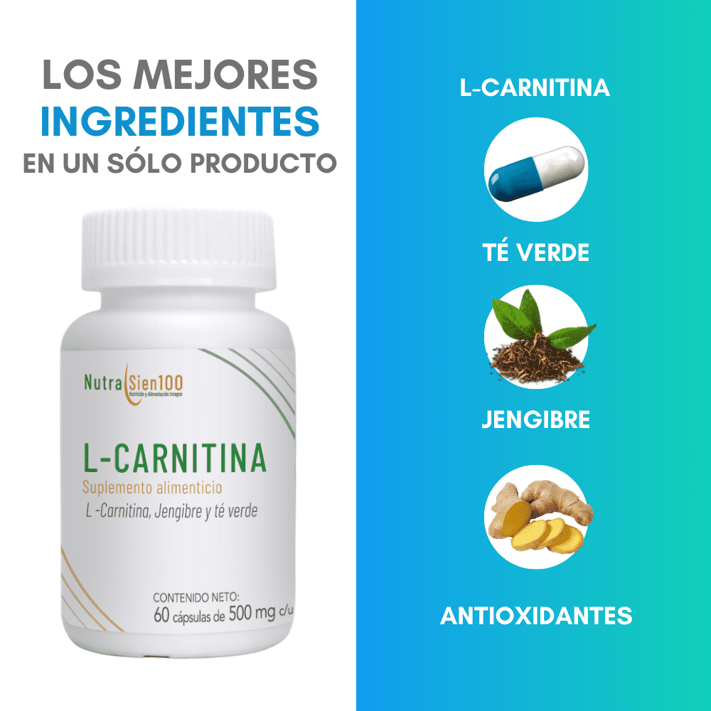 Nutrasien100 L carnitina cápsulas con jengibre y té verde. Termogénico. Pre entreno. Keto. Apto para hombres y mujeres. 60 cápsulas=60 días.
