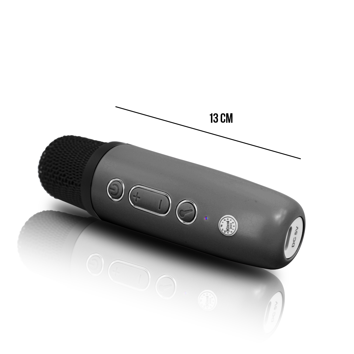 Mini Bocina 8w Karaoke Con Microfon Inalambrico Wl-391 color Negro 