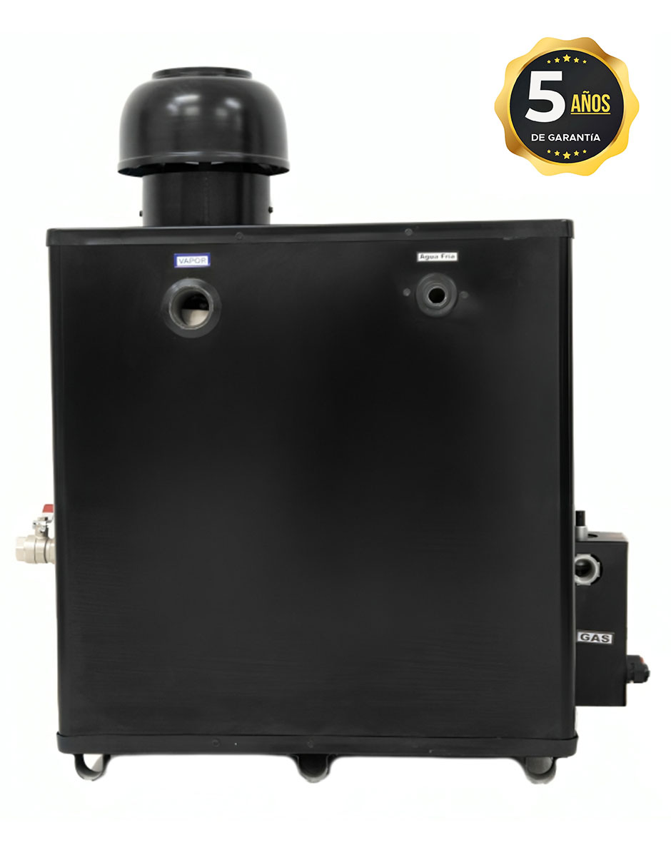 Generador de vapor DELTA PARA 10M3 LP .